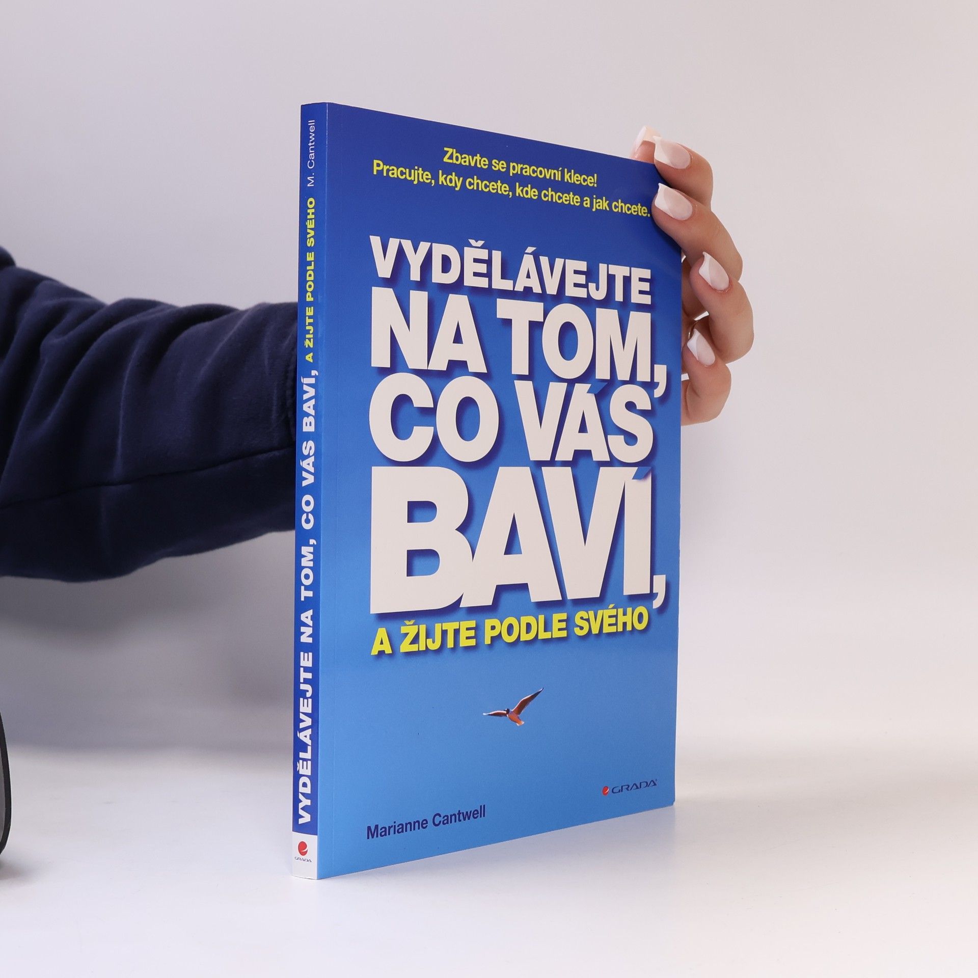 Marianne Cantwell Vydělávejte na tom, co vás baví, a žijte podle svého