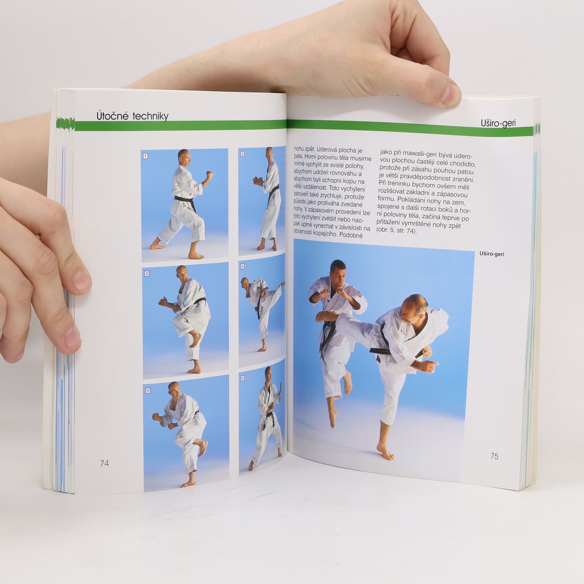 Wolf Wichmann Karate