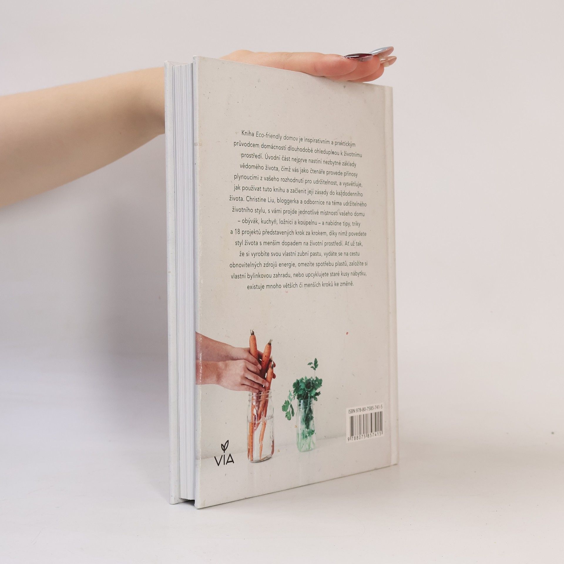 Christine Liu Eco-friendly domov: Praktické projekty, rady a tipy pro ekologicky šetrnější domácnost