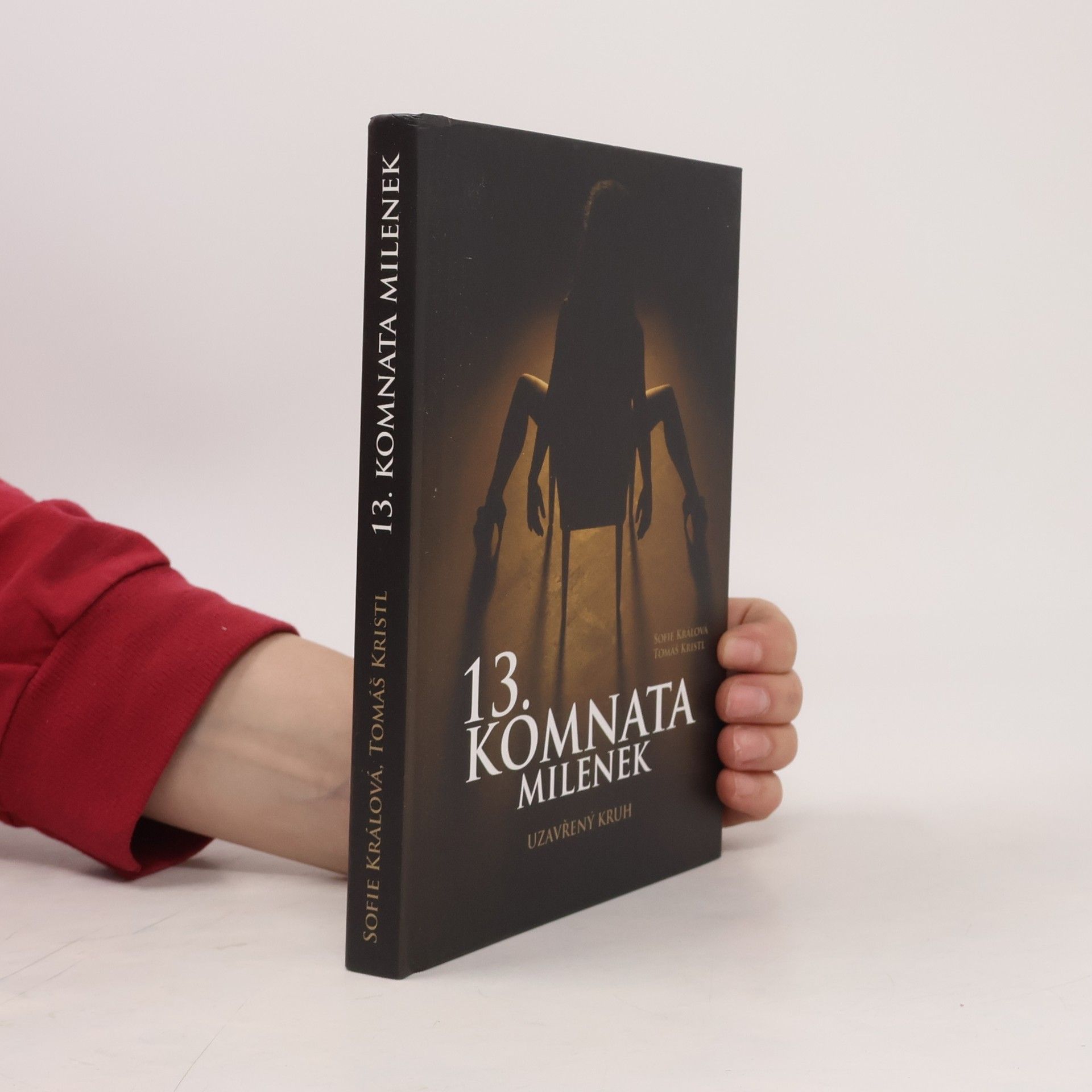 Tomáš Kristl 13. komnata milenek. Uzavřený kruh