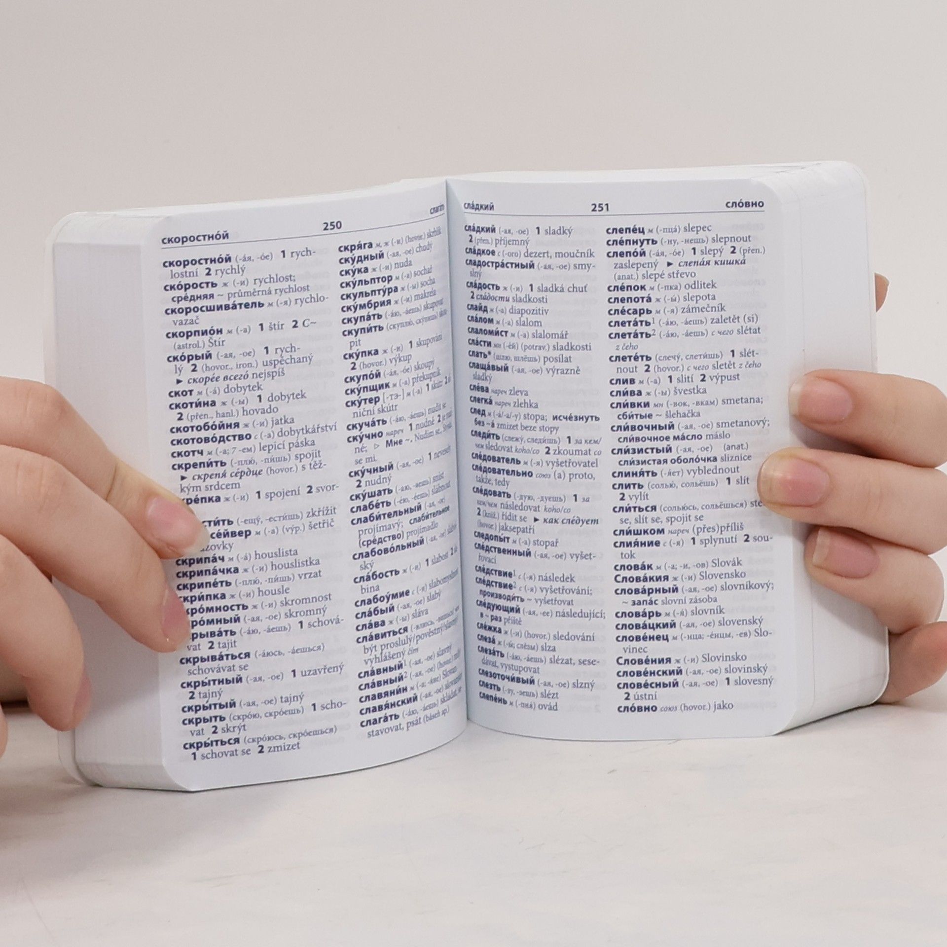 Autores varios Ruština. Slovníček.