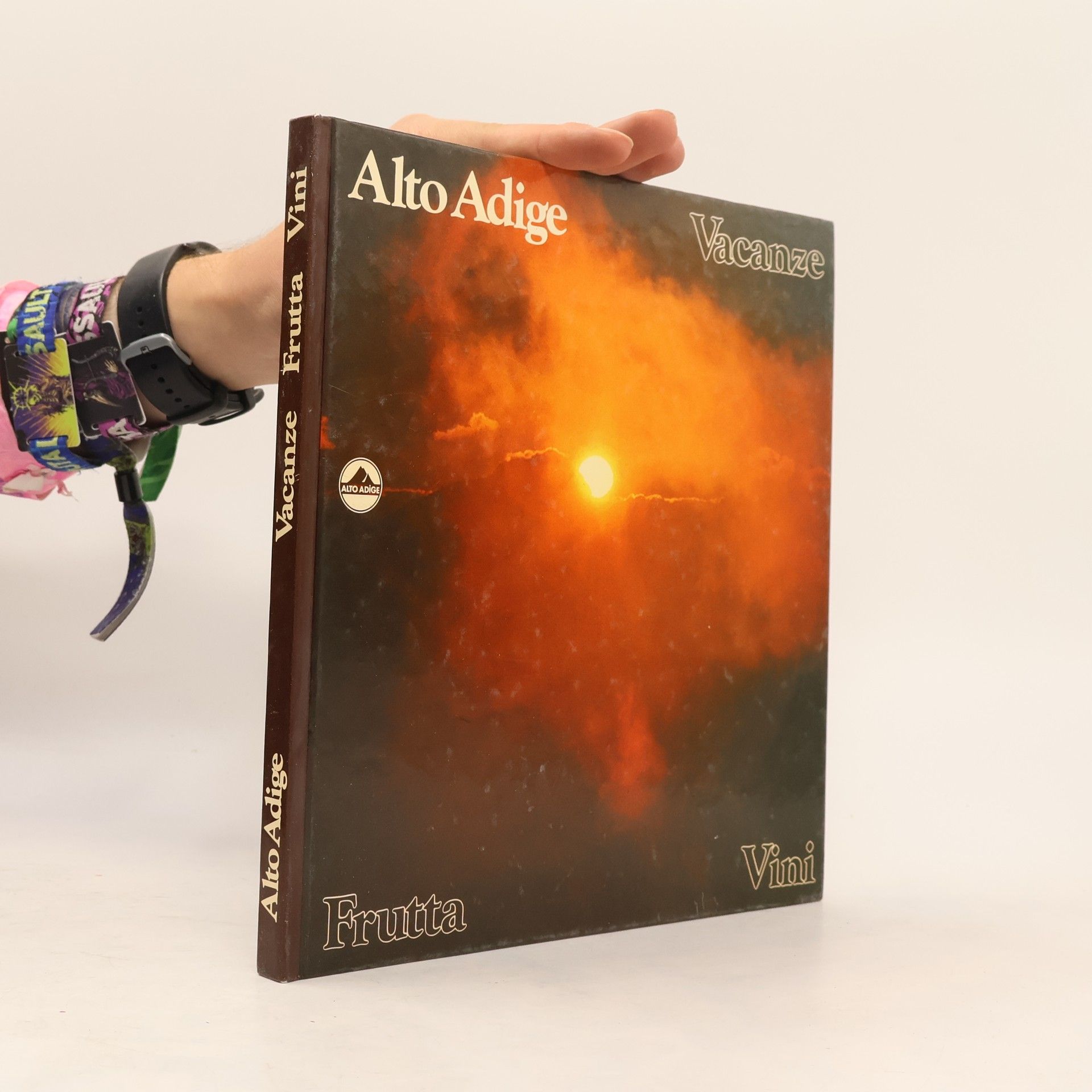 Kolektiv autorů Alto Adige