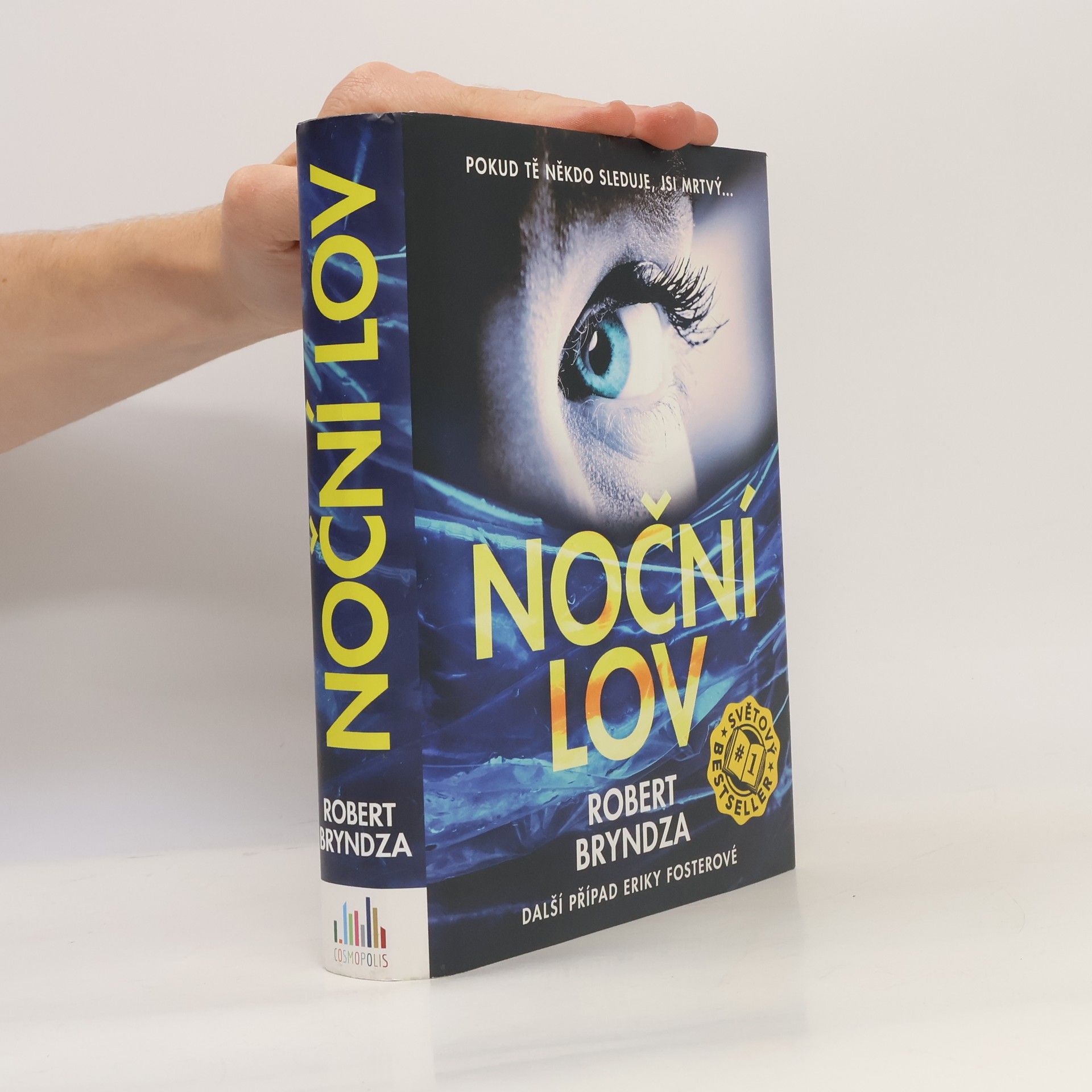 Robert Bryndza Noční lov