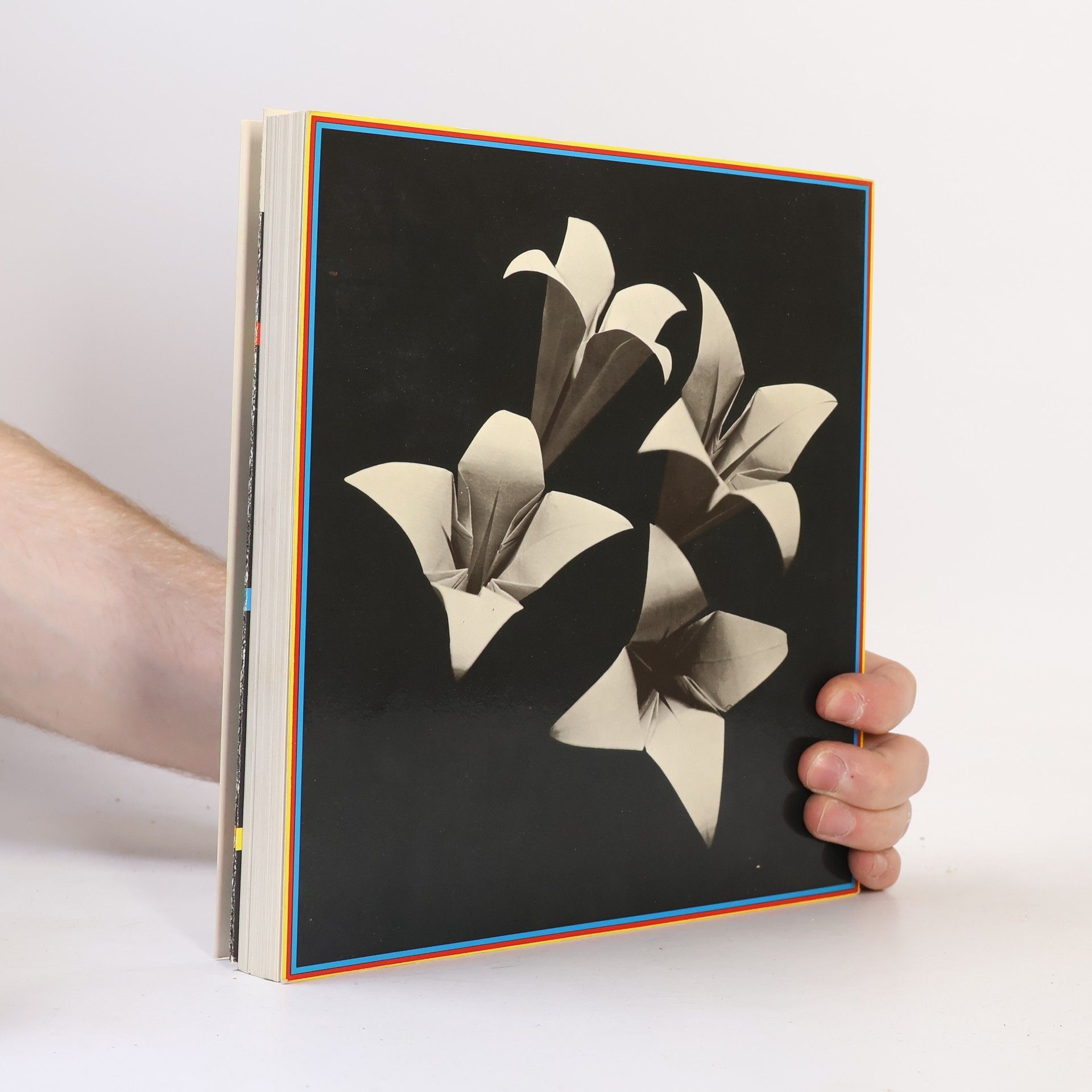 Michael Schuyt Origami