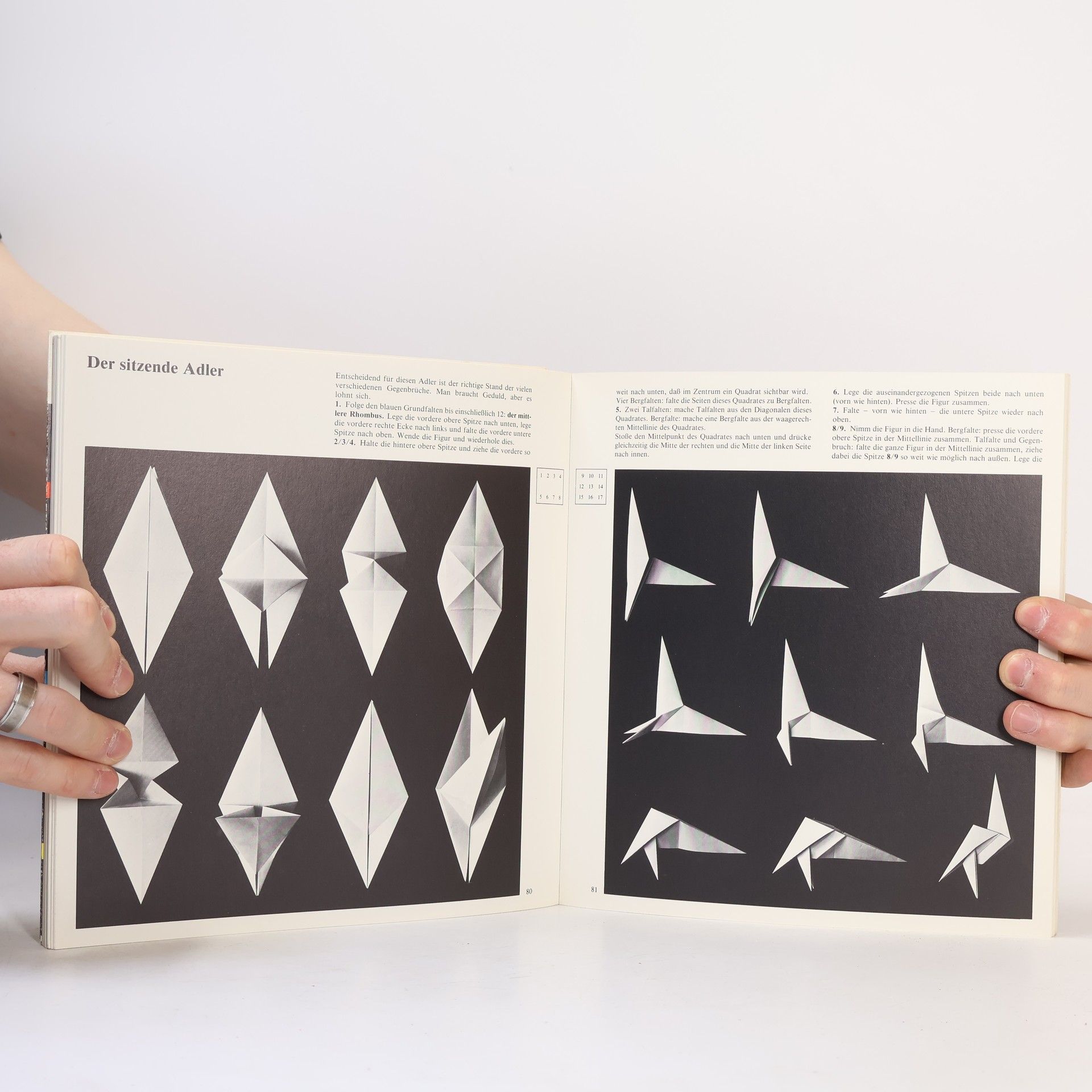 Michael Schuyt Origami
