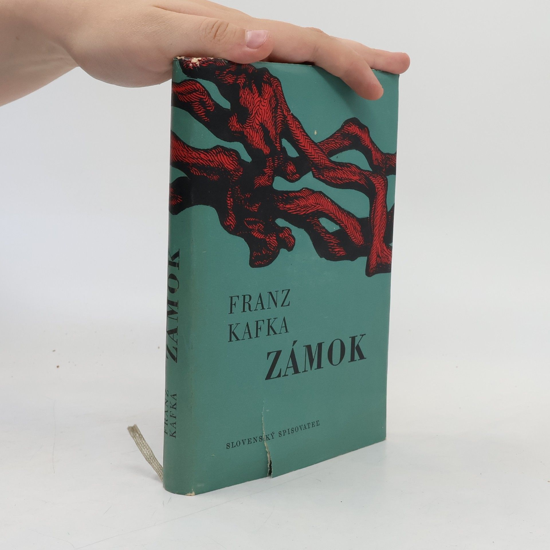 Franz Kafka Zámok