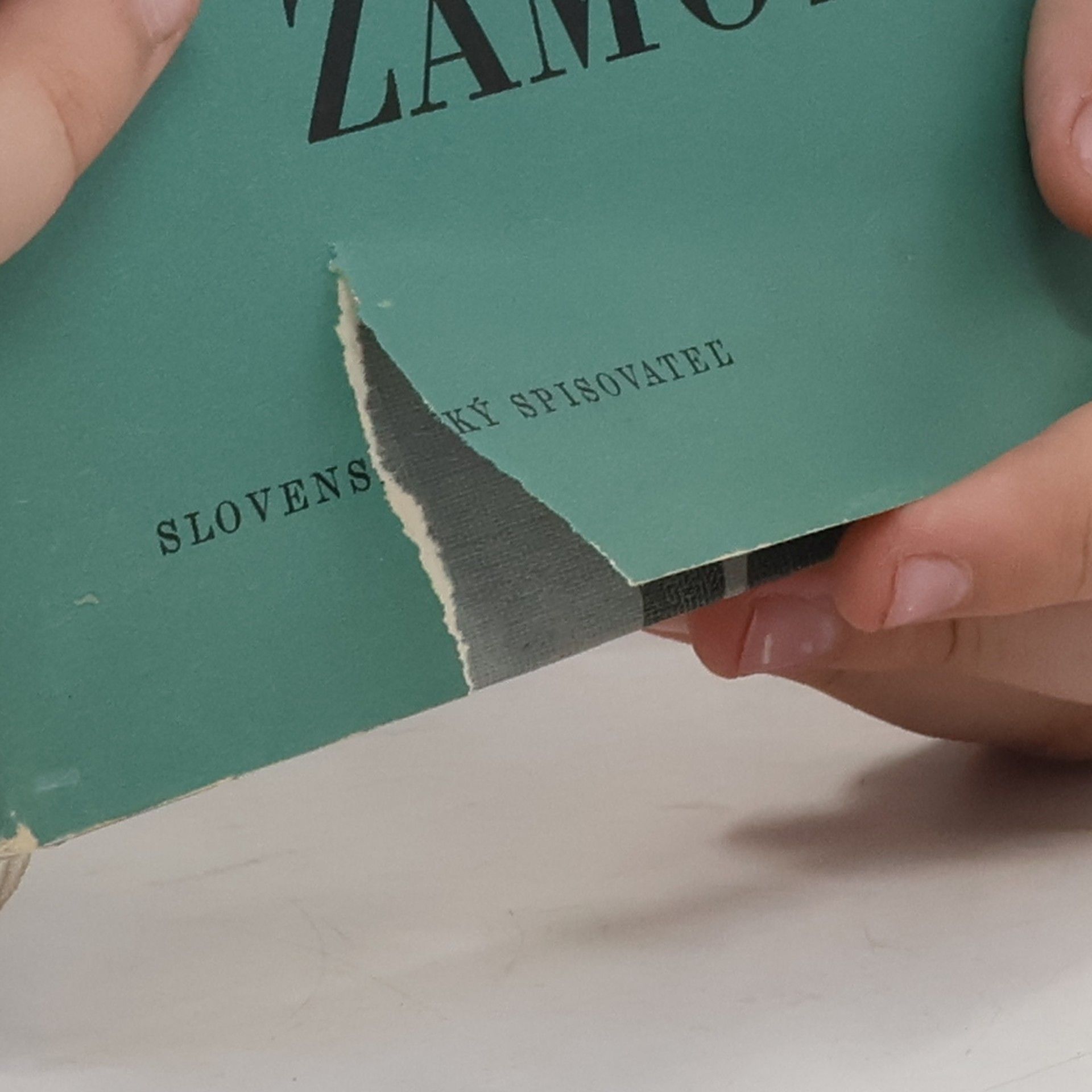 Franz Kafka Zámok