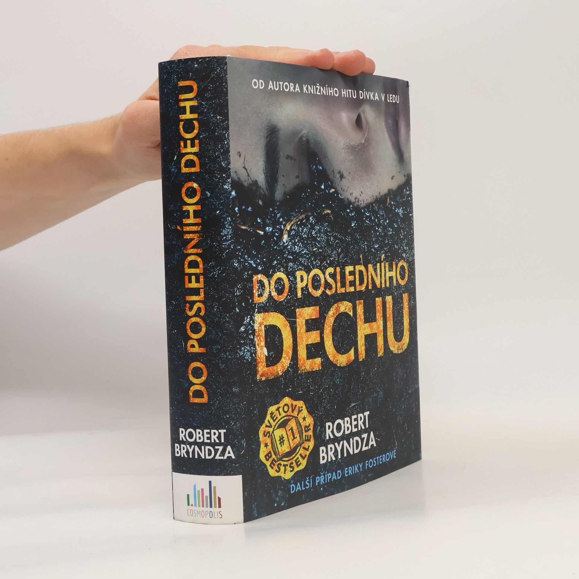Robert Bryndza Do posledního dechu