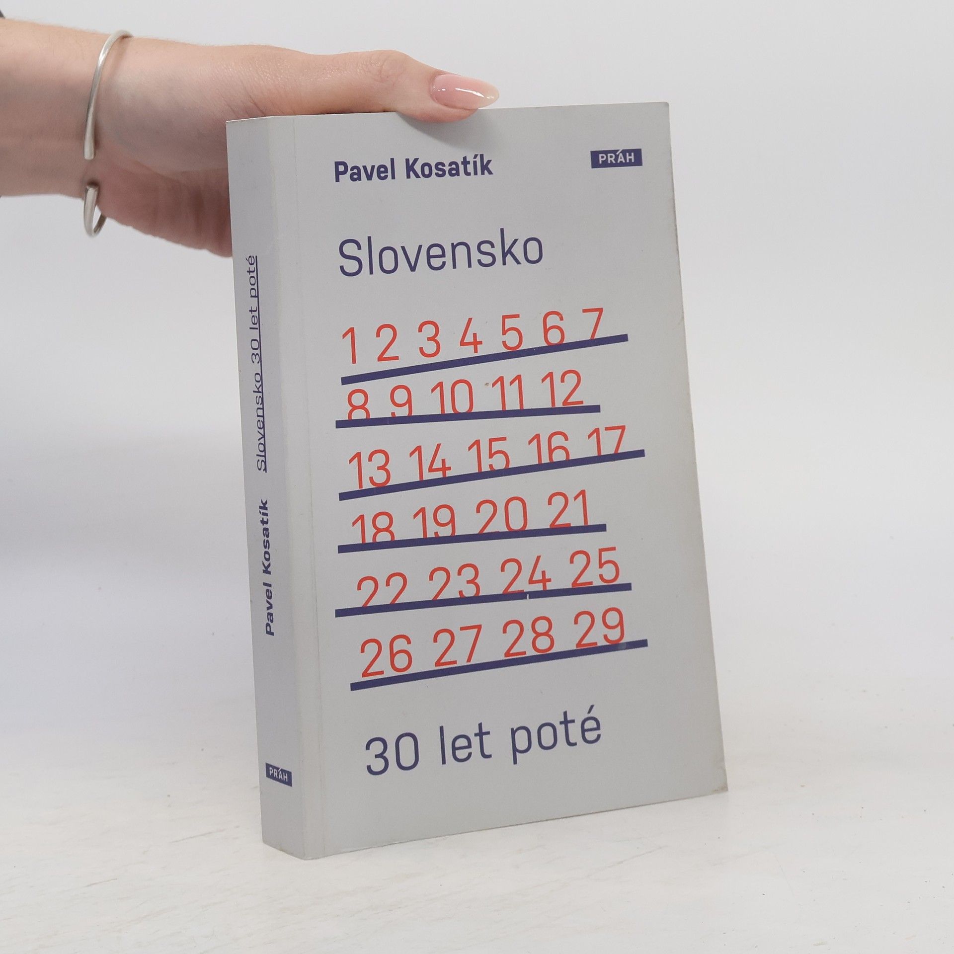 Slovensko třicet let poté