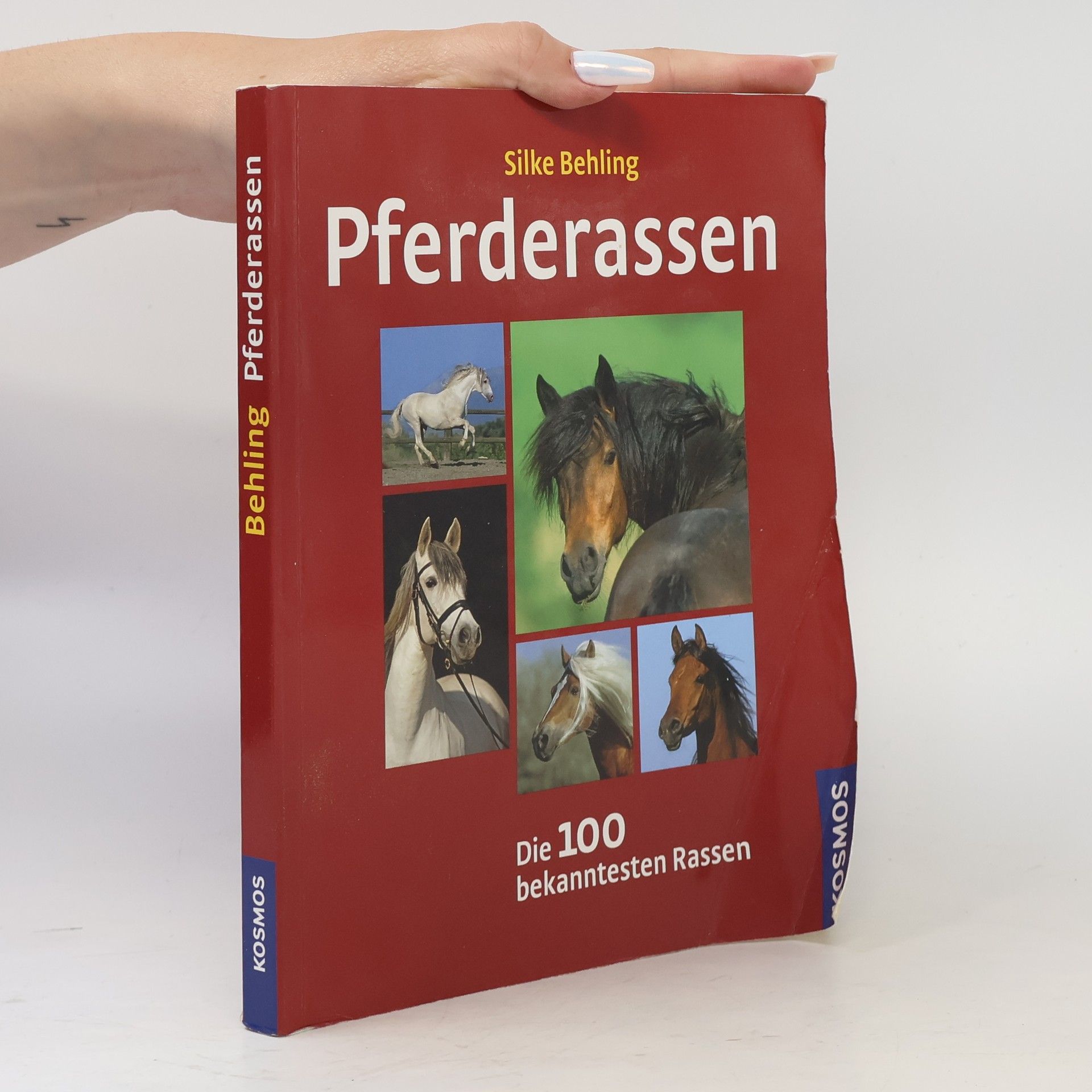 Silke Behling Pferderassen