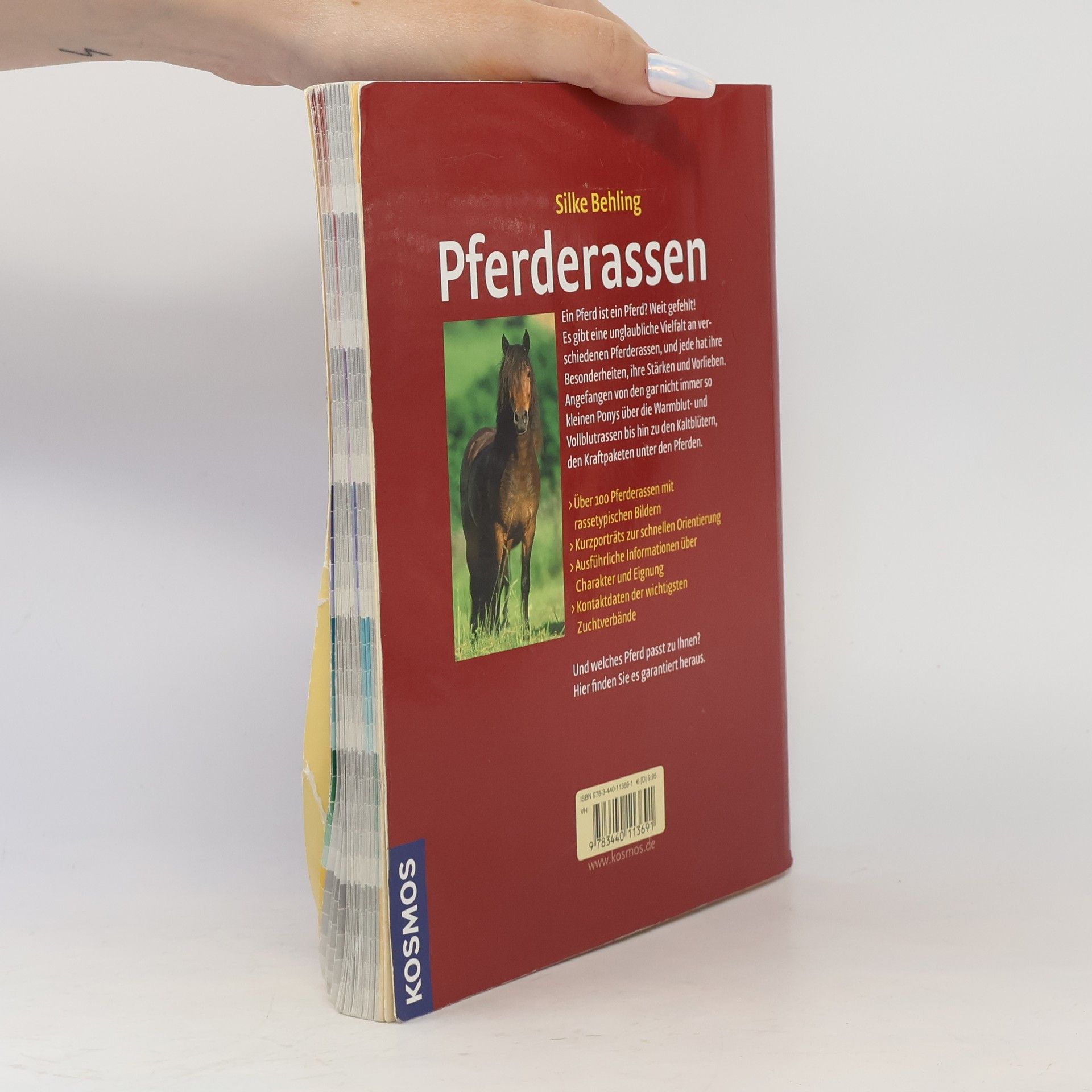 Silke Behling Pferderassen