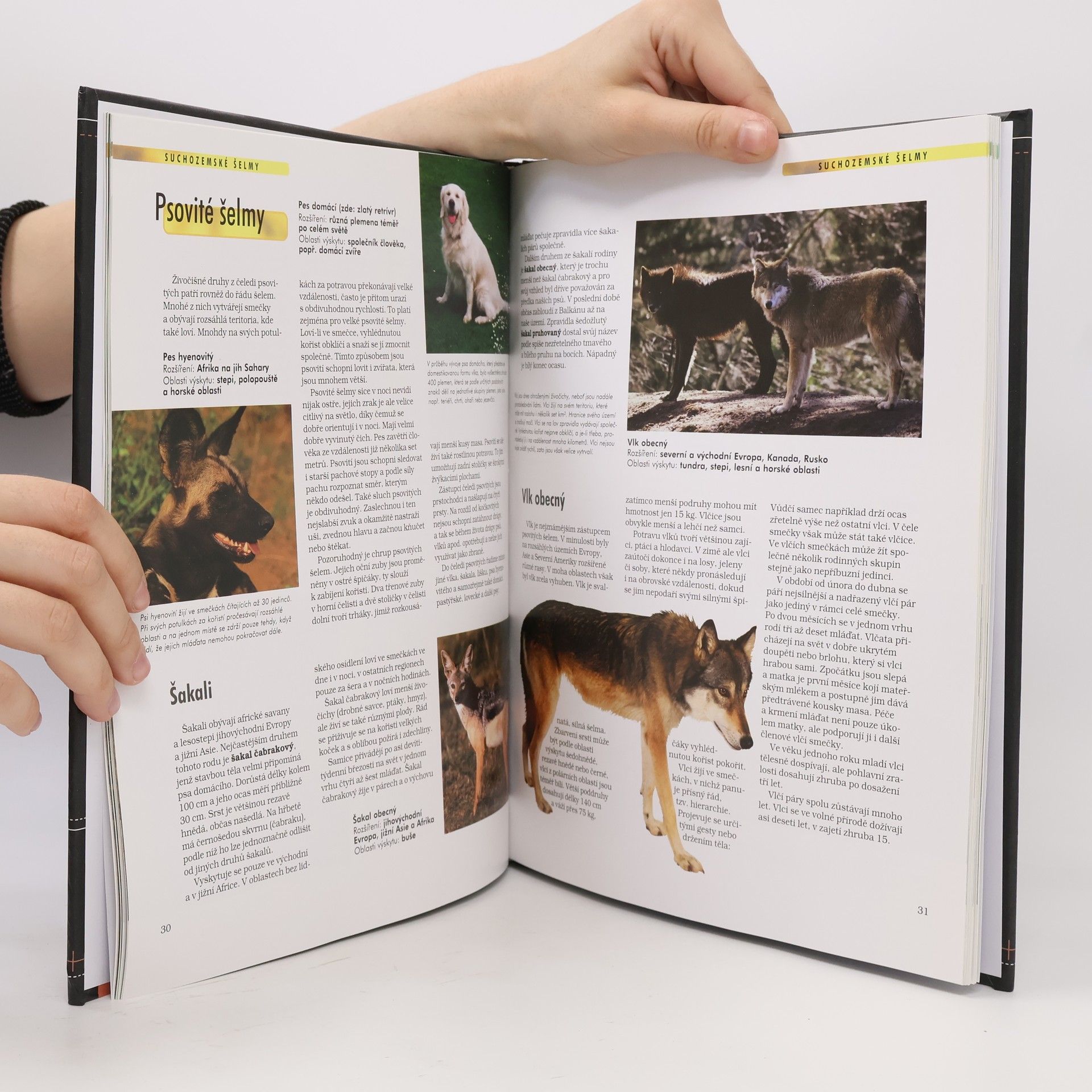 Kolektiv autorů Savci. Anatomie, chování, oblasti výskytu