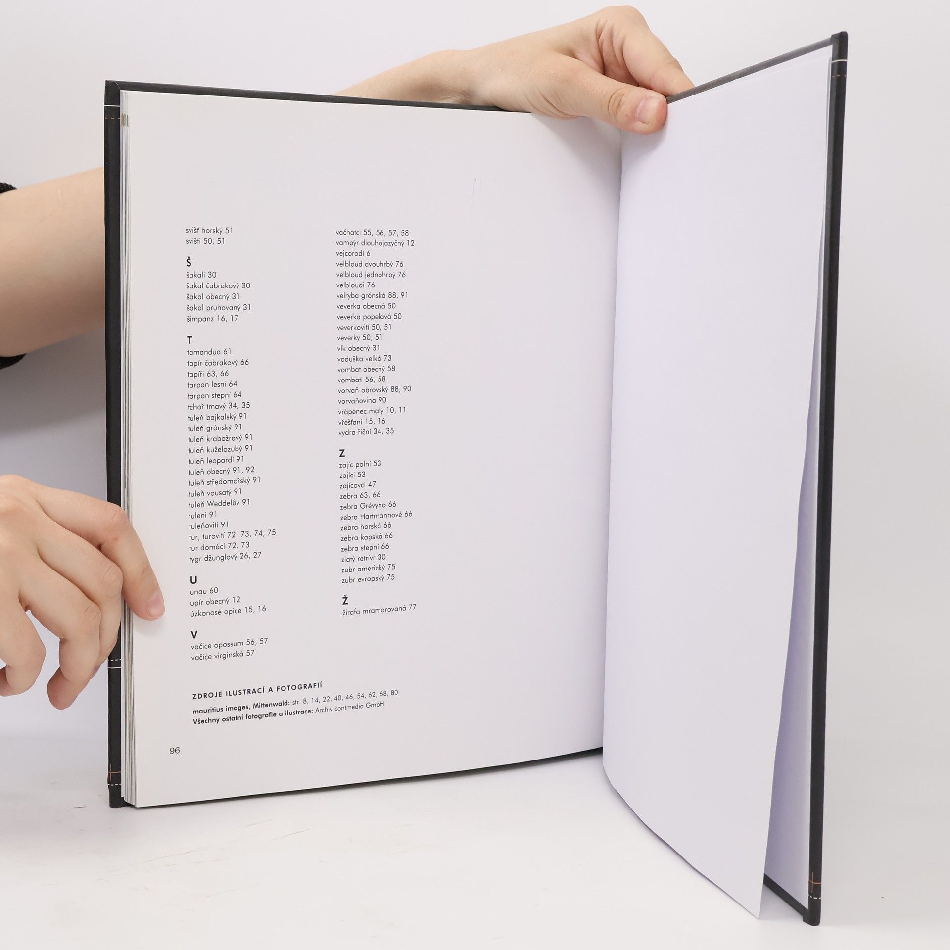 Kolektiv autorů Savci. Anatomie, chování, oblasti výskytu