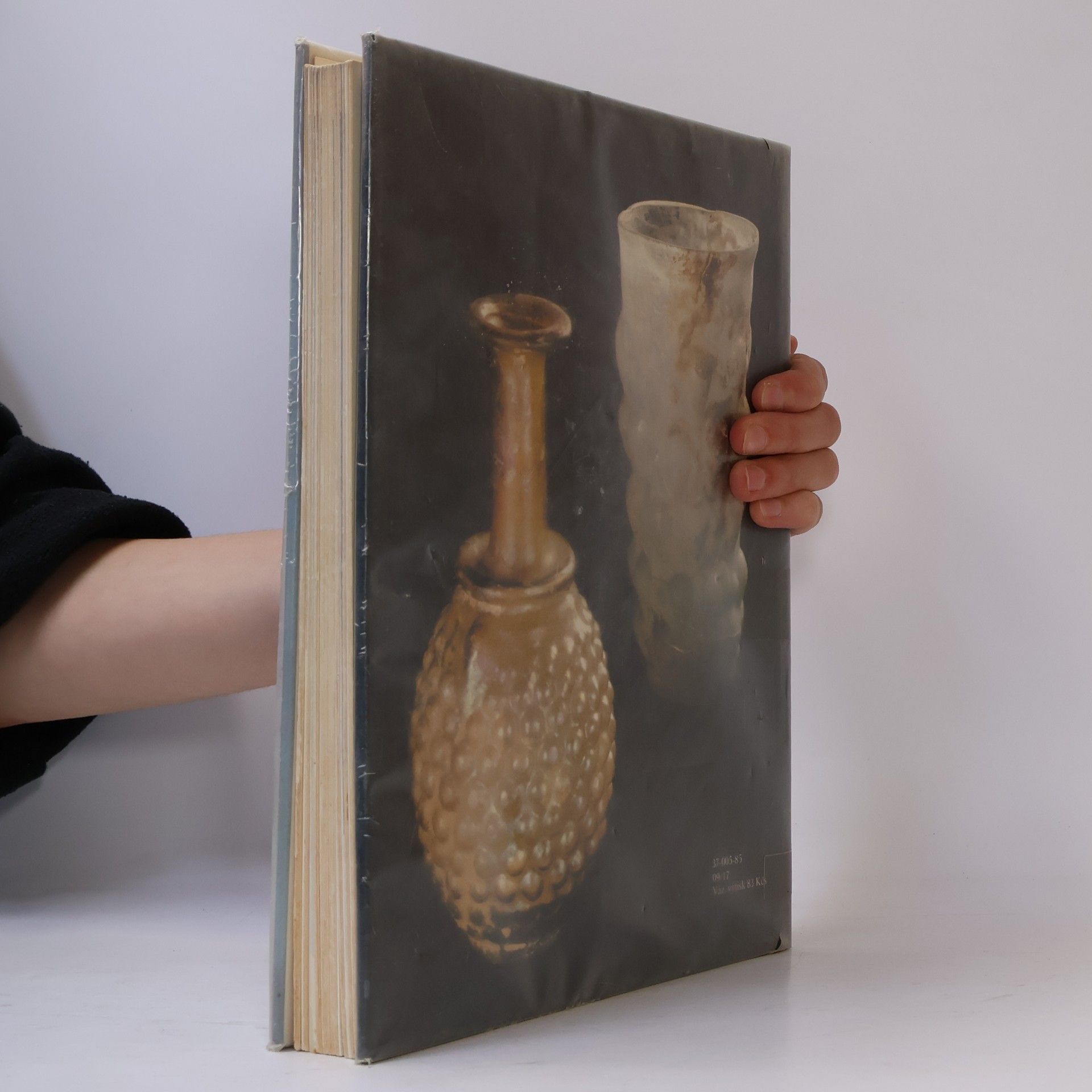 Olga Drahotová Europäisches Glas