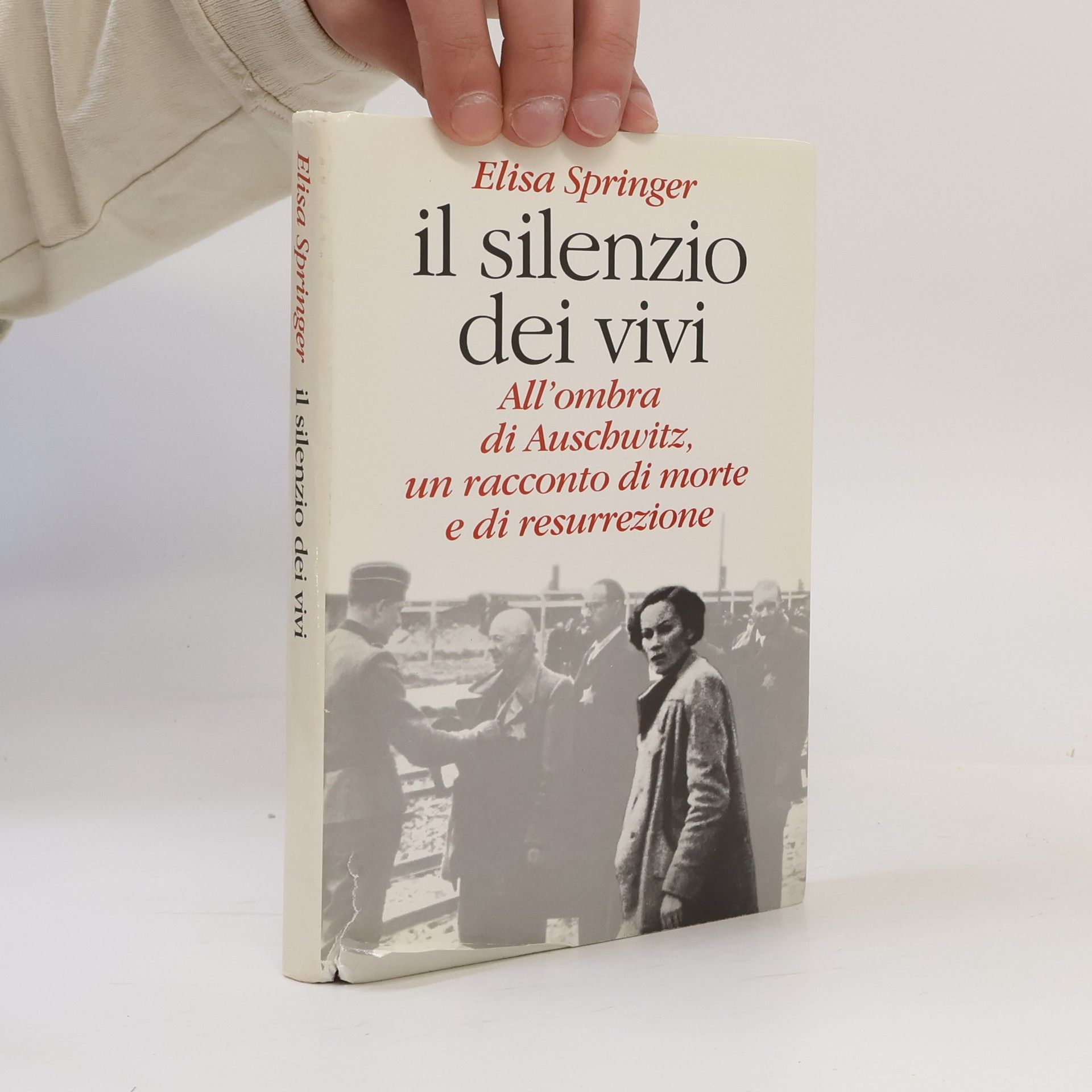 Elisa Springer Il silenzio dei vivi