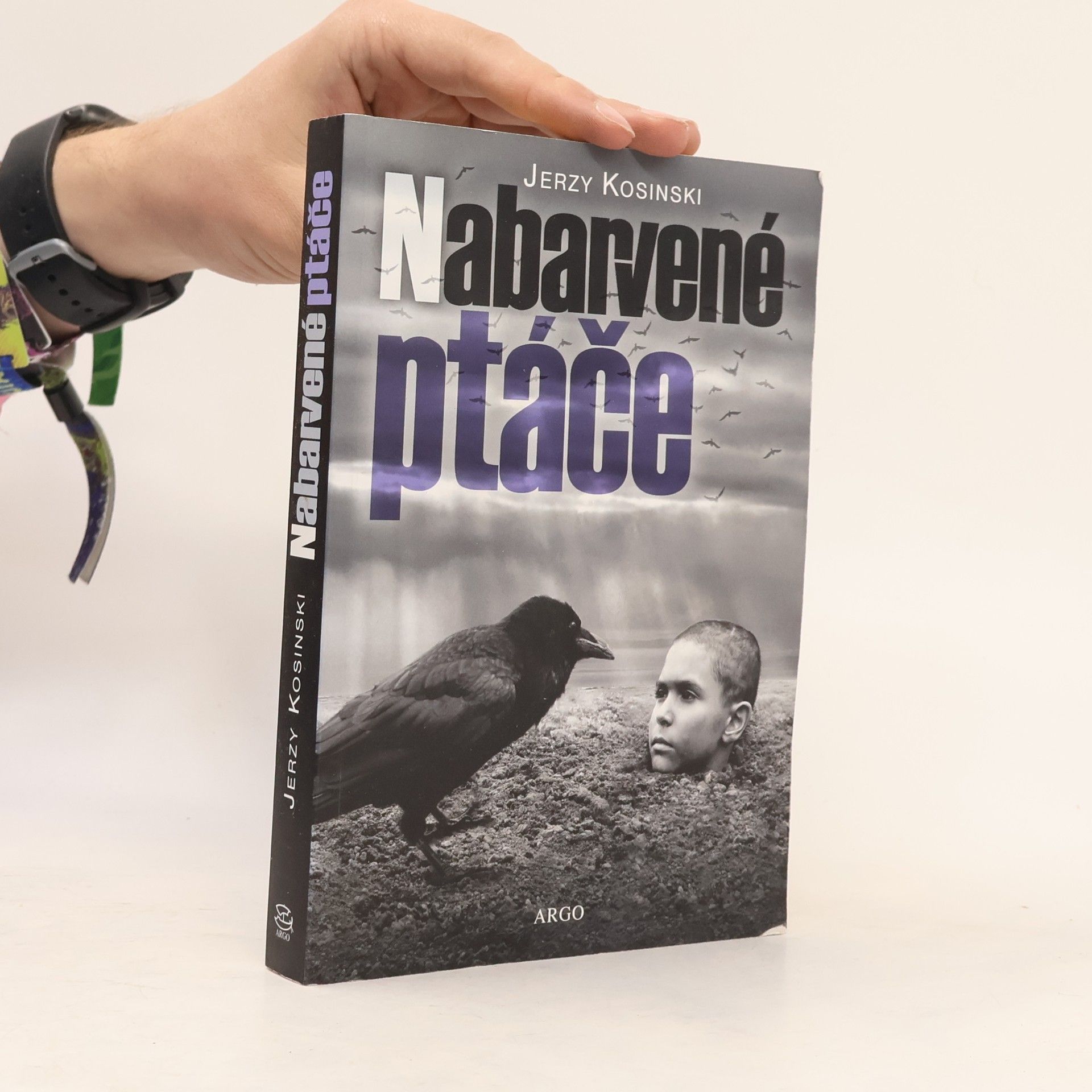 Jerzy Kosinski Nabarvené ptáče