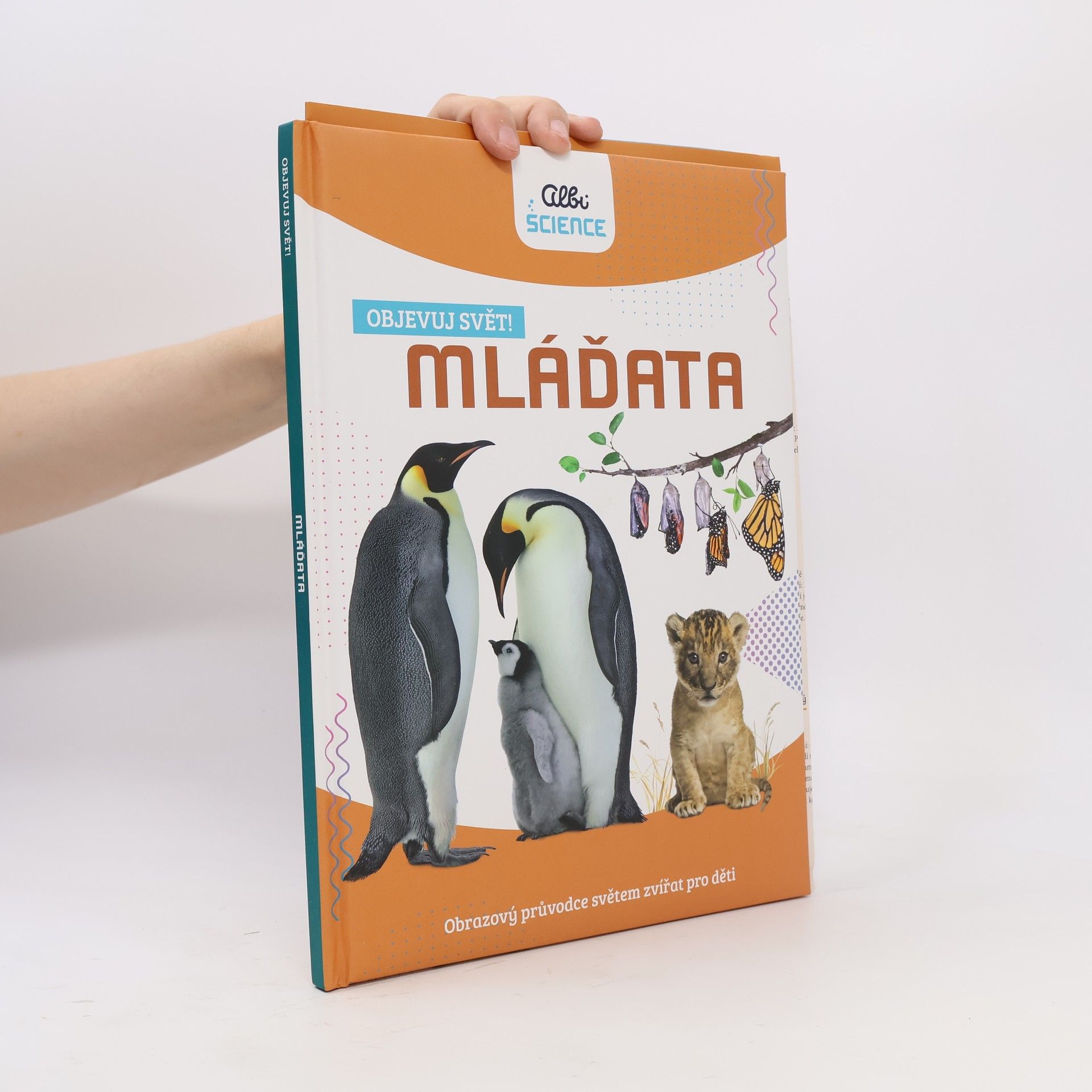 Autorenkollektiv Objevuj svět! Mláďata