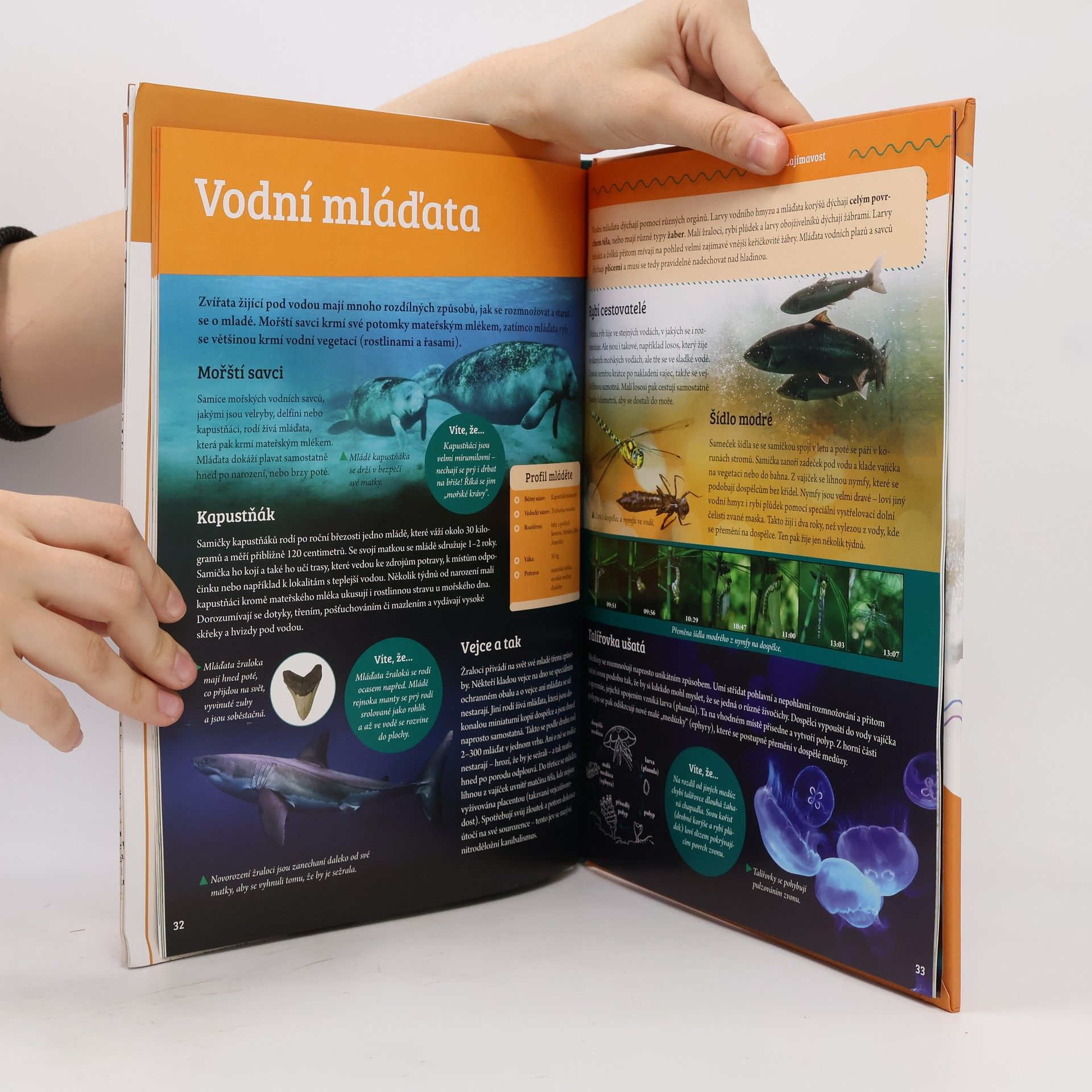 Various authors Objevuj svět! Mláďata