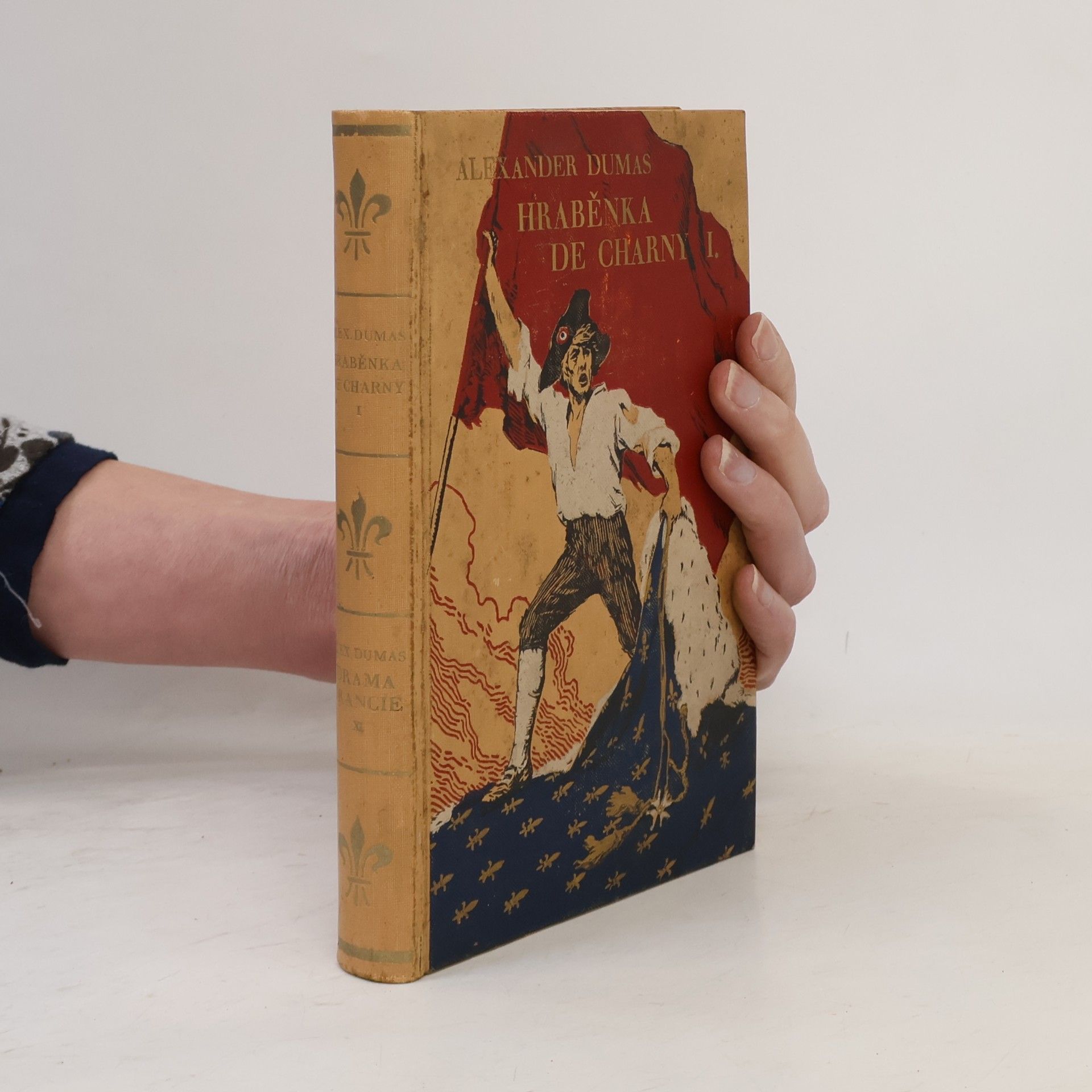 Alexandre Dumas starší Hraběnka de Charny I.