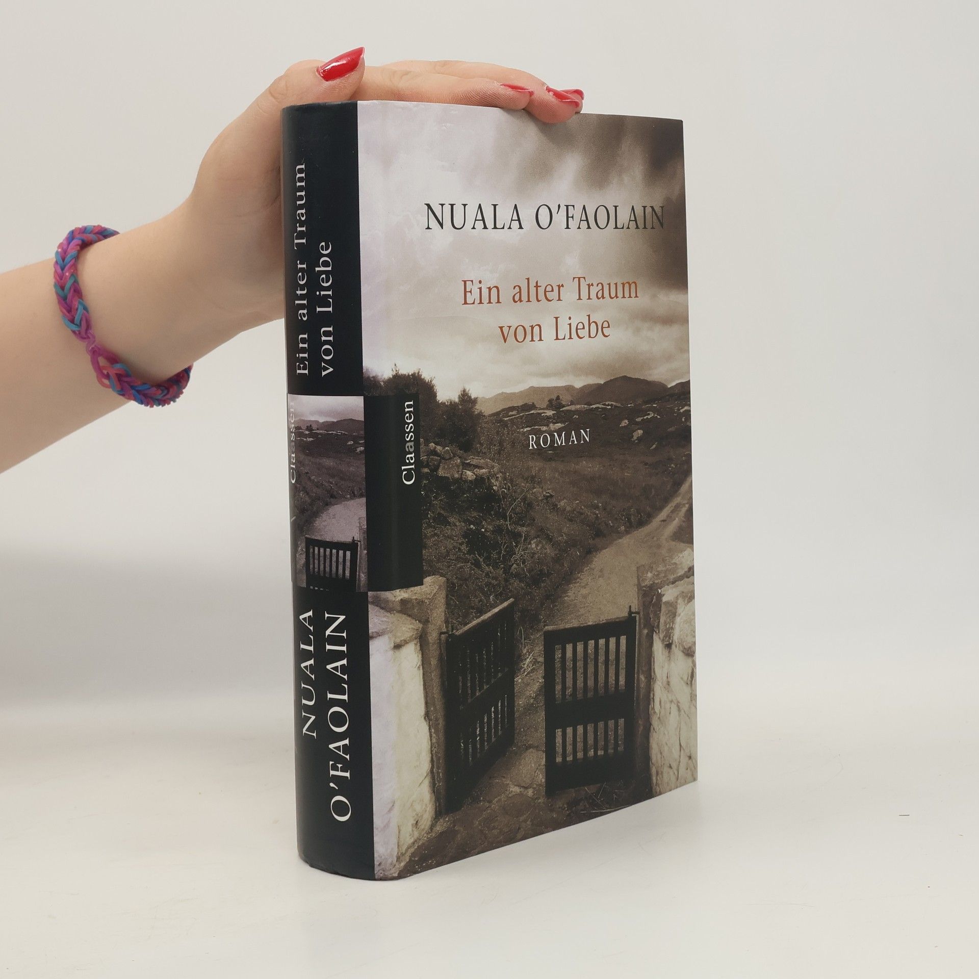 Nuala O. Faolain Ein alter Traum von Liebe