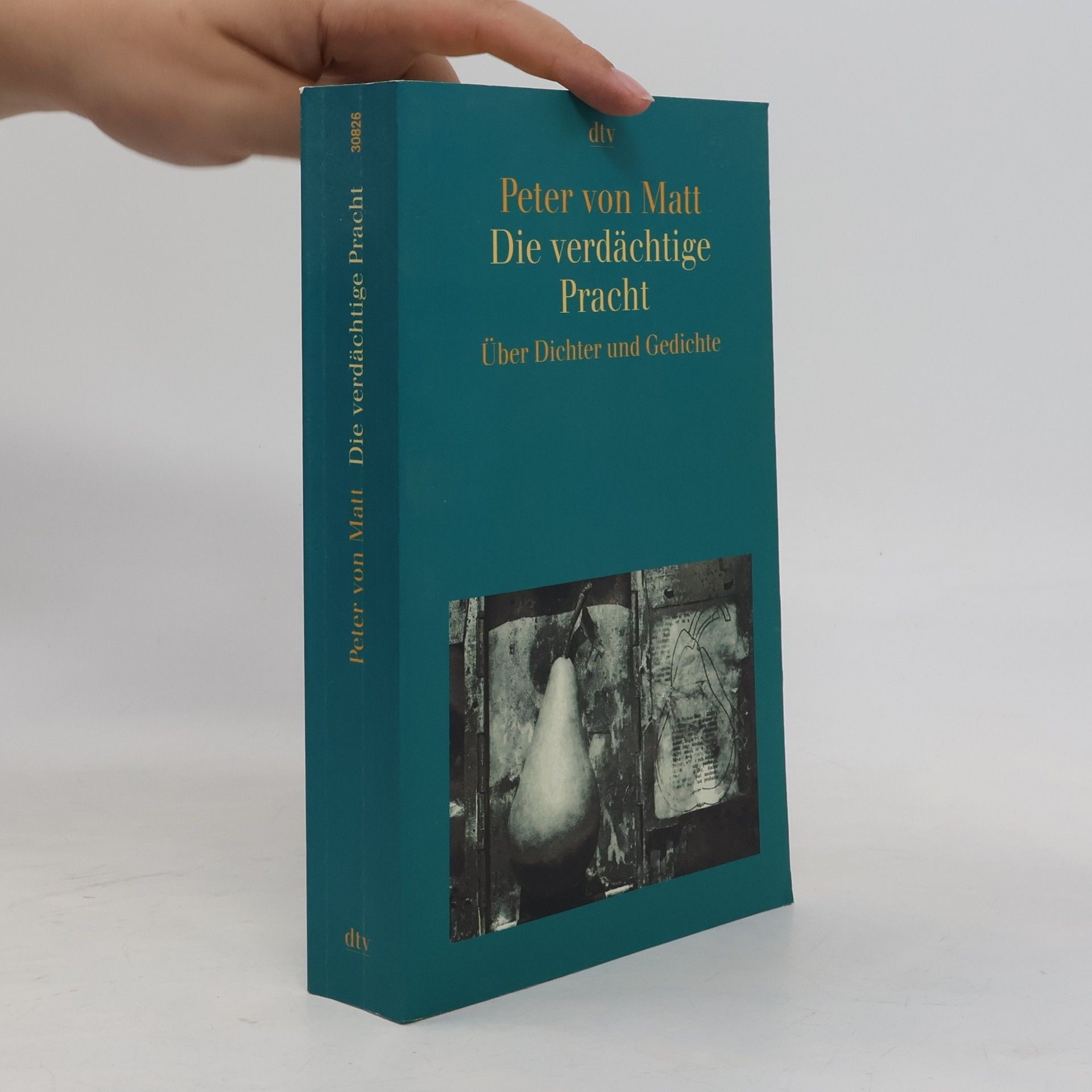 Peter Matt Die verdächtige Pracht