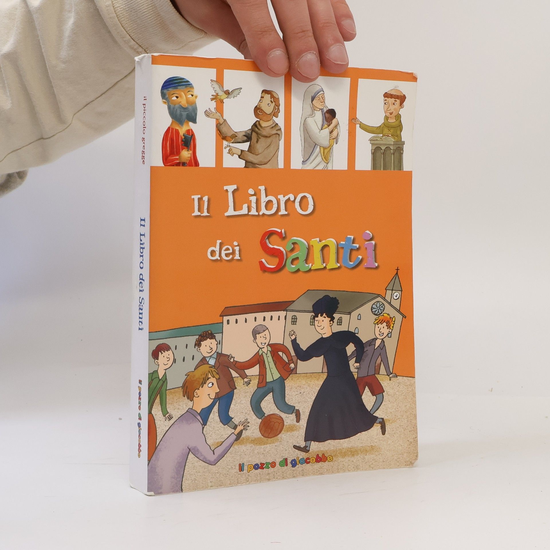 Autores varios Il libro dei santi. Il piccolo gregge