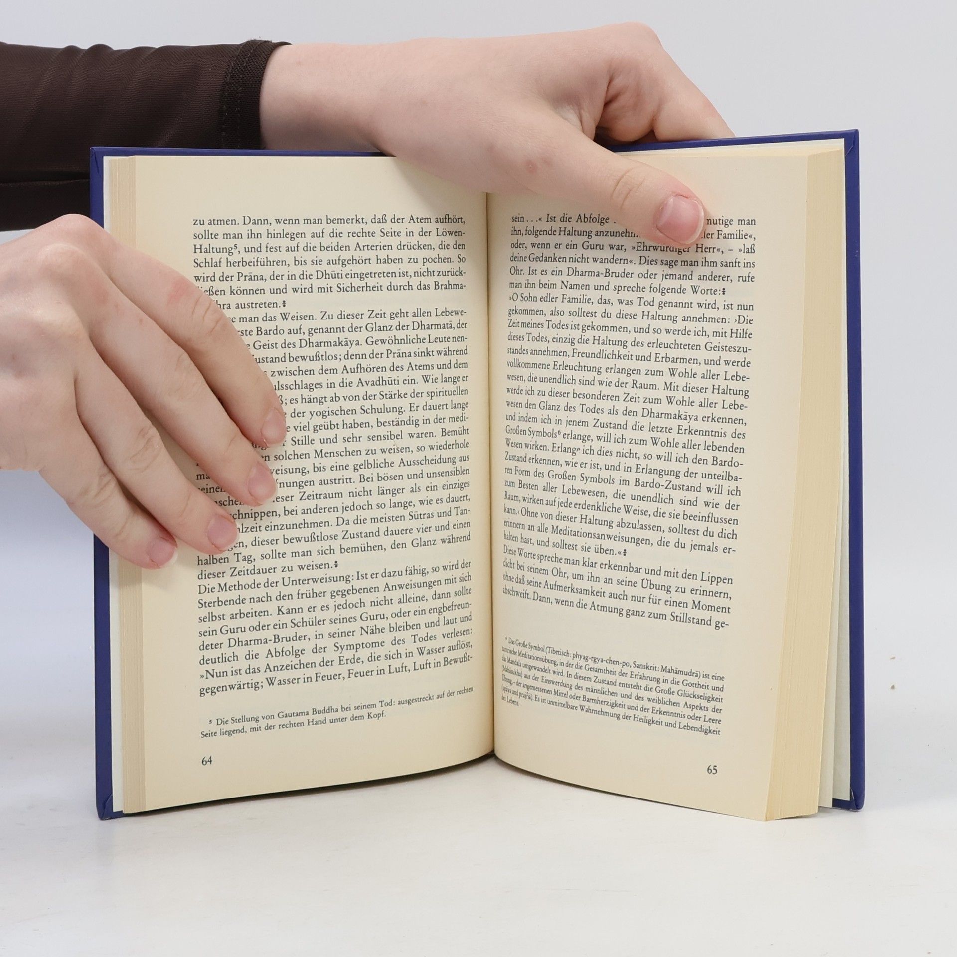 Francesca Fremantle Wege der Weisheit. Das Totenbuch der Tibeter