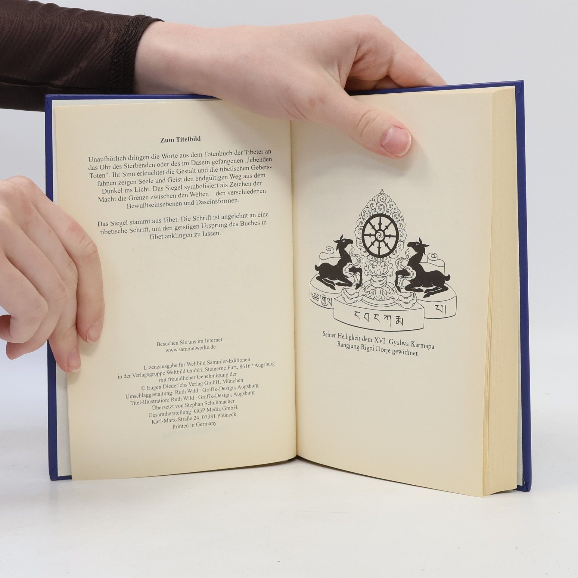 Francesca Fremantle Wege der Weisheit. Das Totenbuch der Tibeter