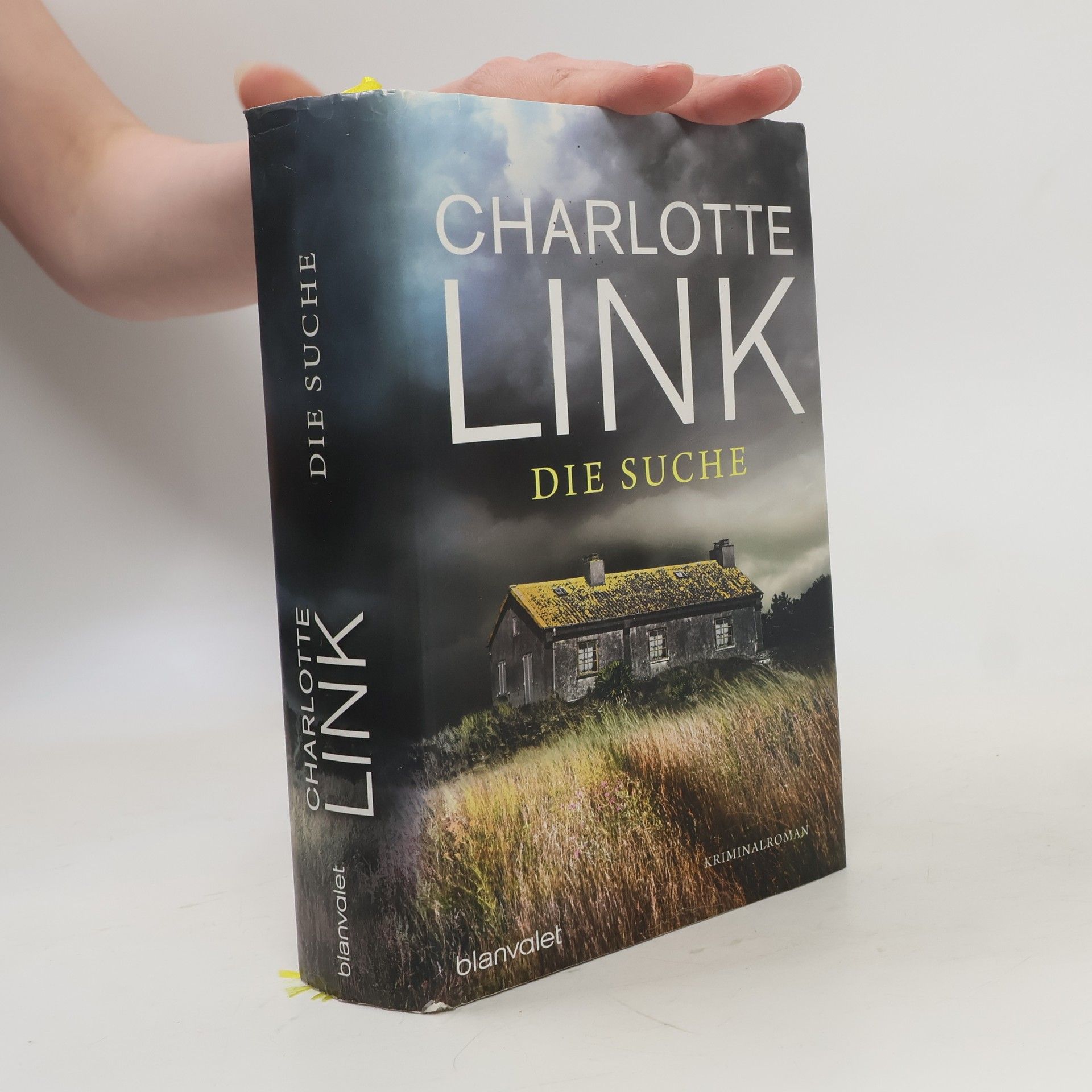 Charlotte Link Die Suche