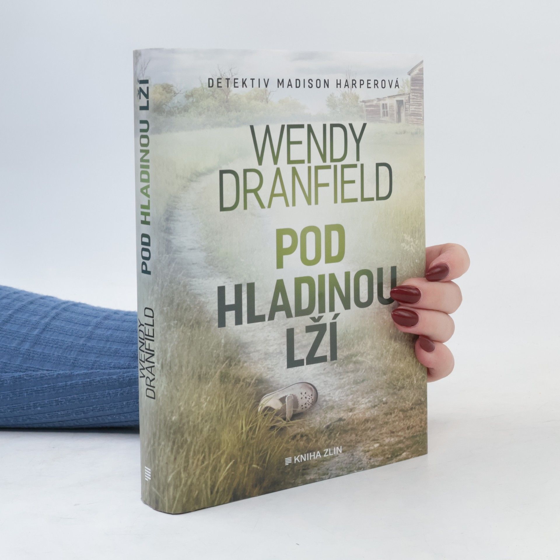Wendy Dranfield Pod hladinou lží