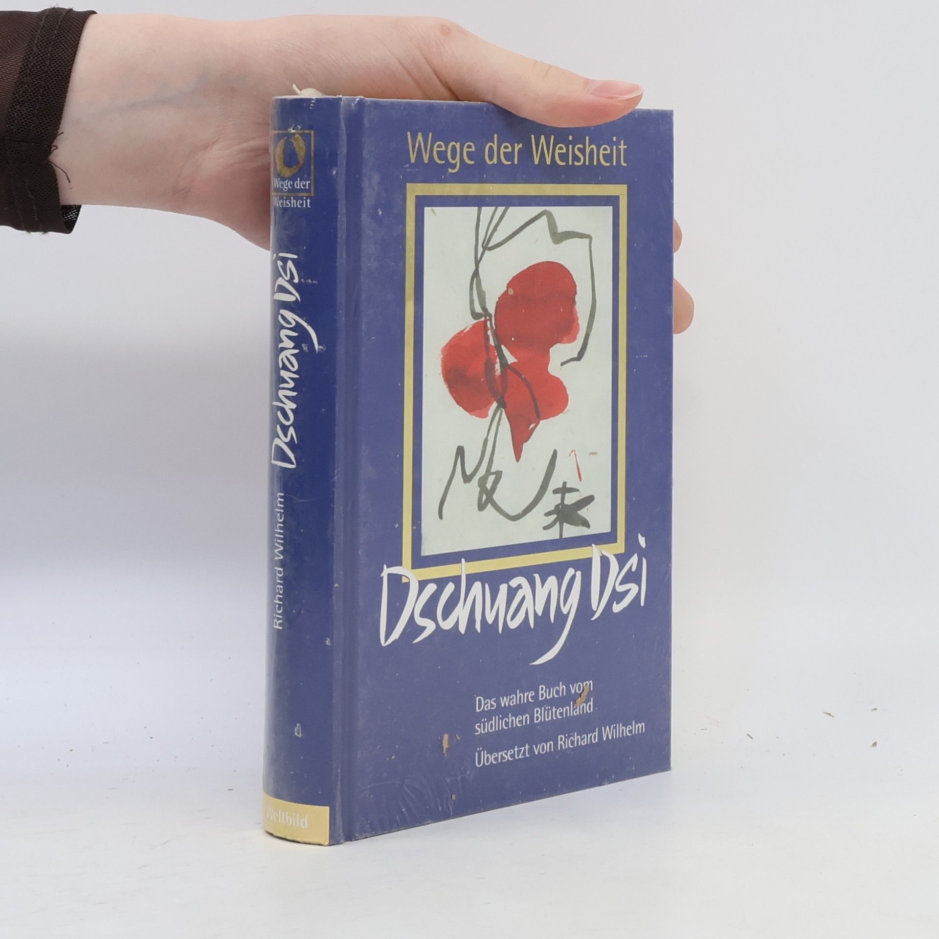 Dschuang Dsi Das wahre Buch vom südlichen Blütenland