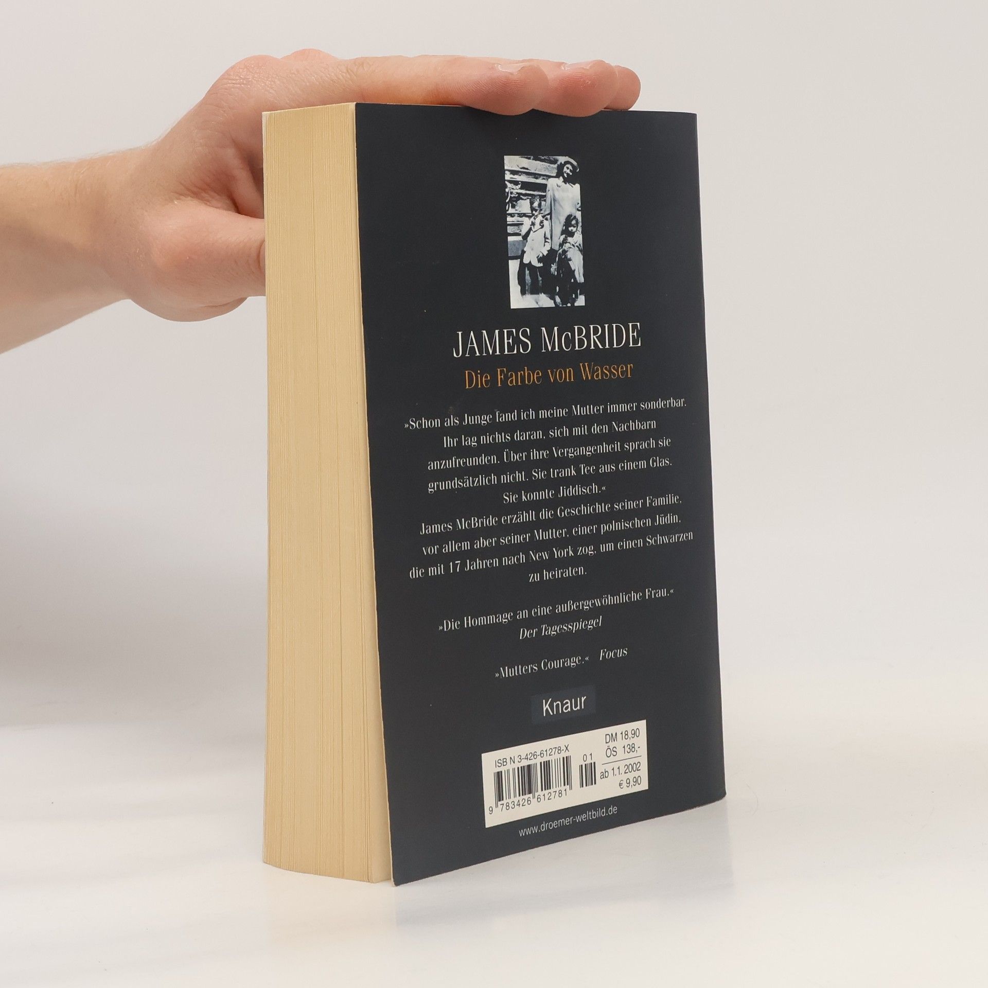 James McBride Die Farbe von Wasser