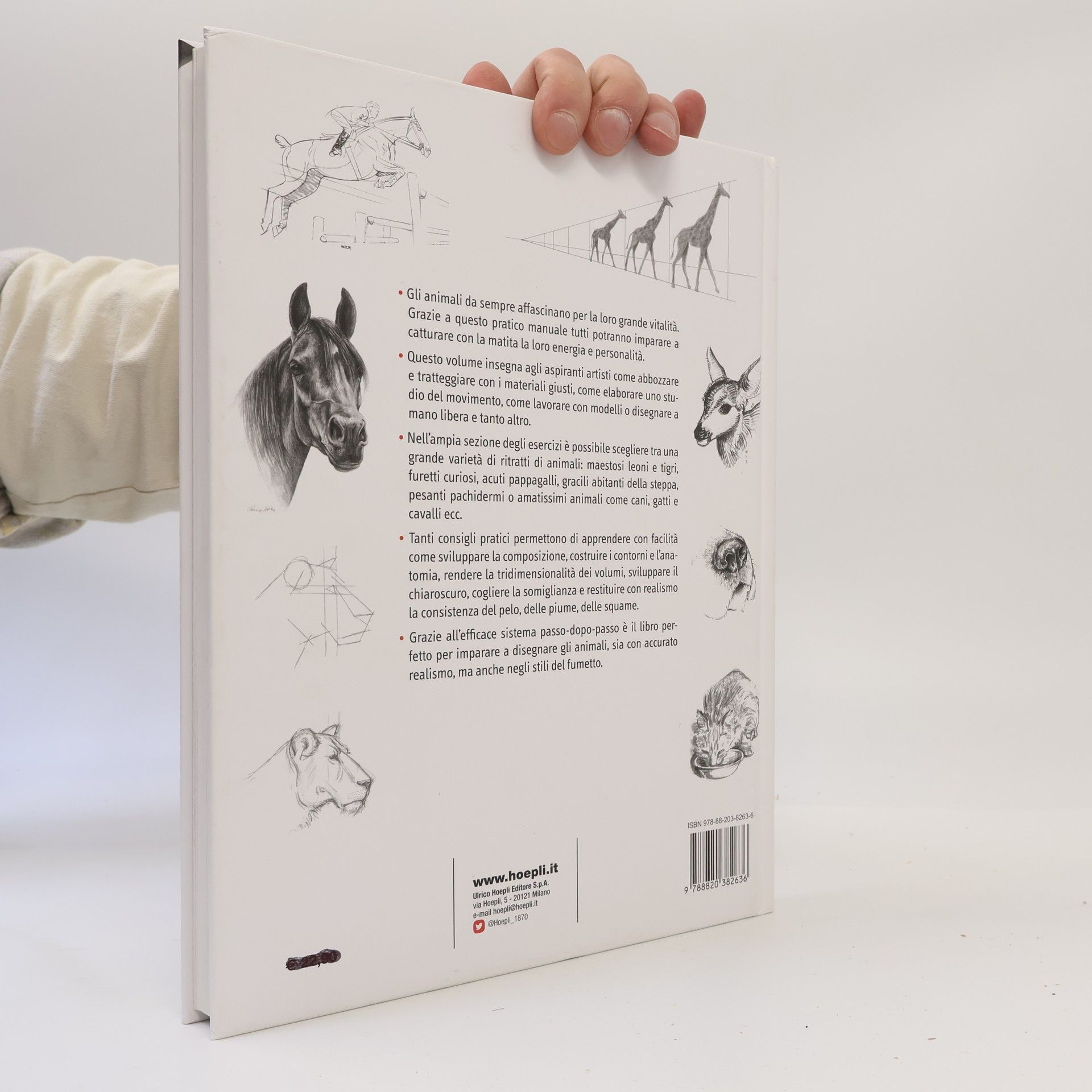 Hobby e collezionismo: L'arte del disegno. Gli animali