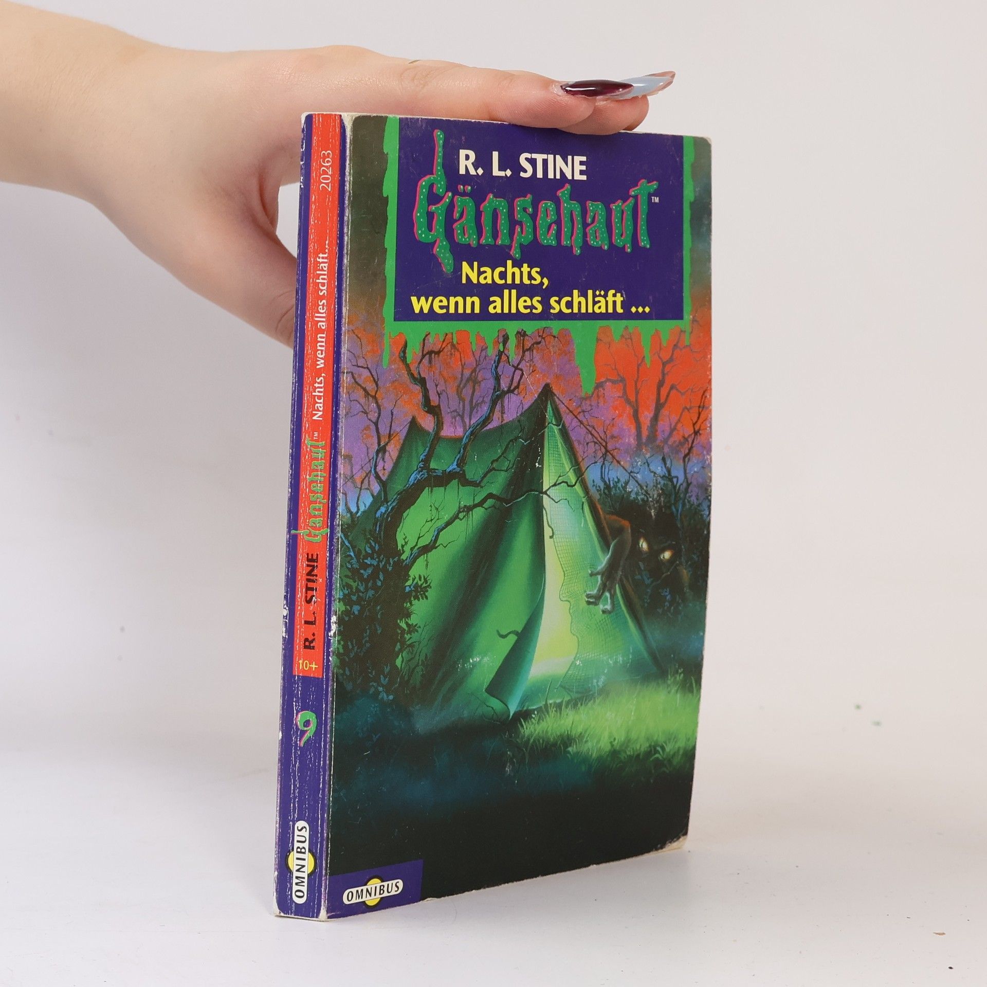 R. L. Stine Gänsehaut 9. Nachts, wenn alles schläft