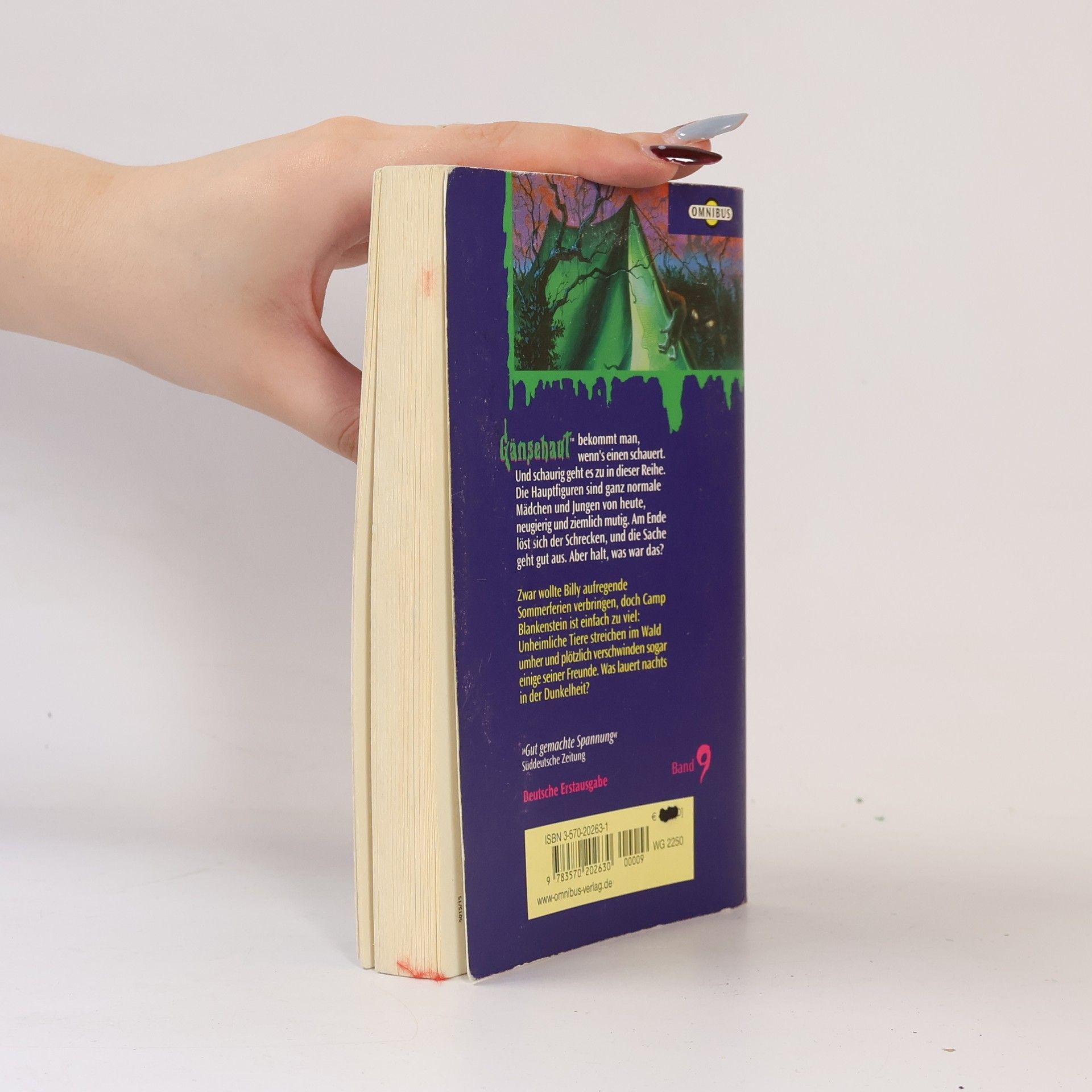 R. L. Stine Gänsehaut 9. Nachts, wenn alles schläft