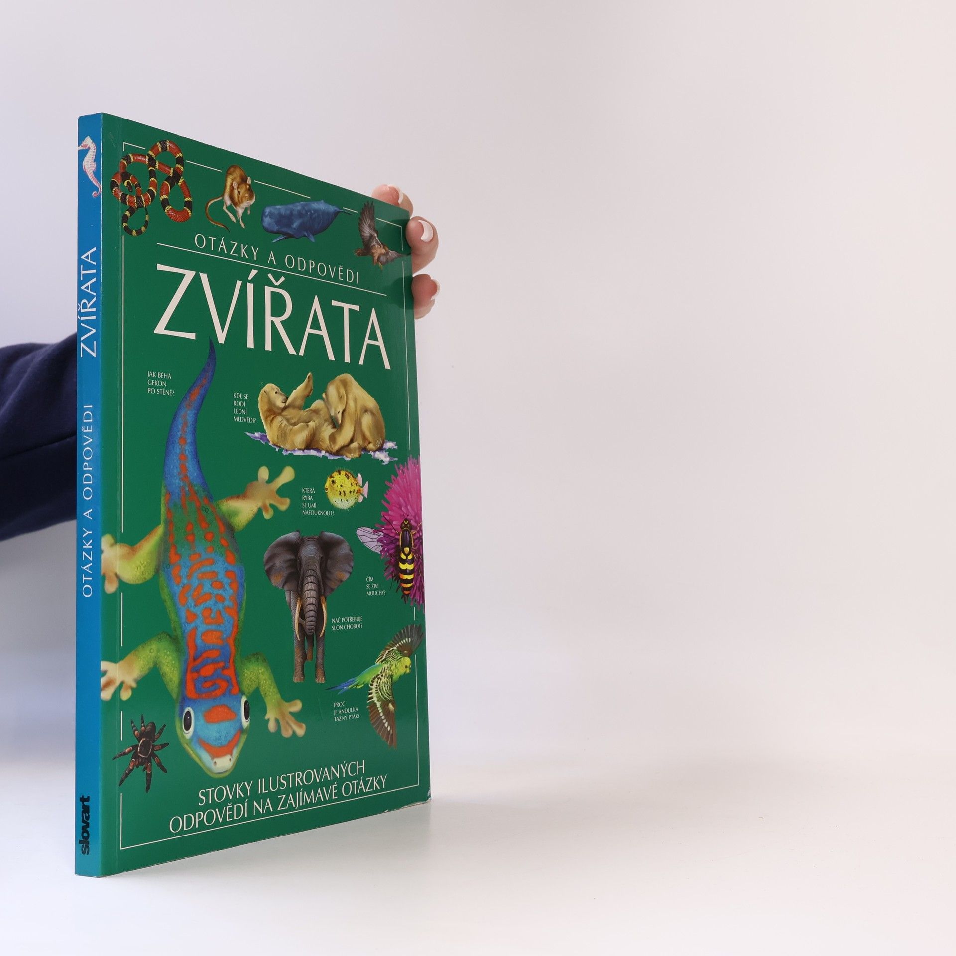 Zvířata. Otázky a odpovědi