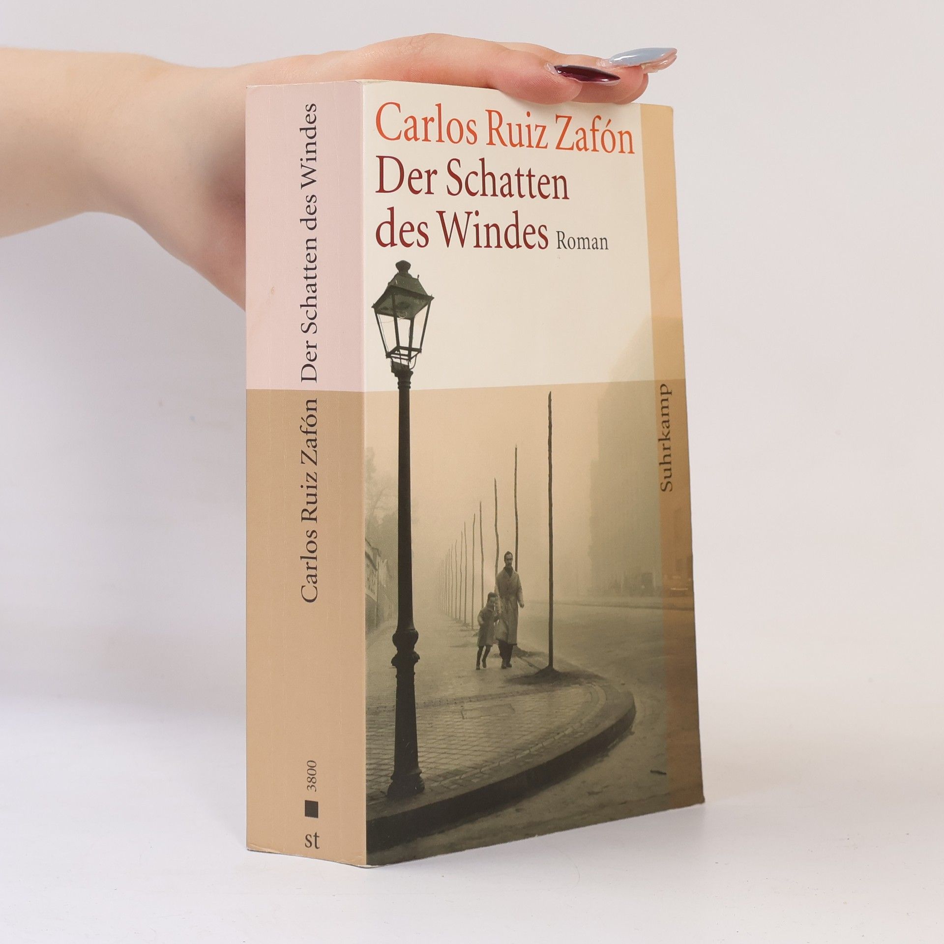 Carlos Ruiz Zafón Der Schatten des Windes