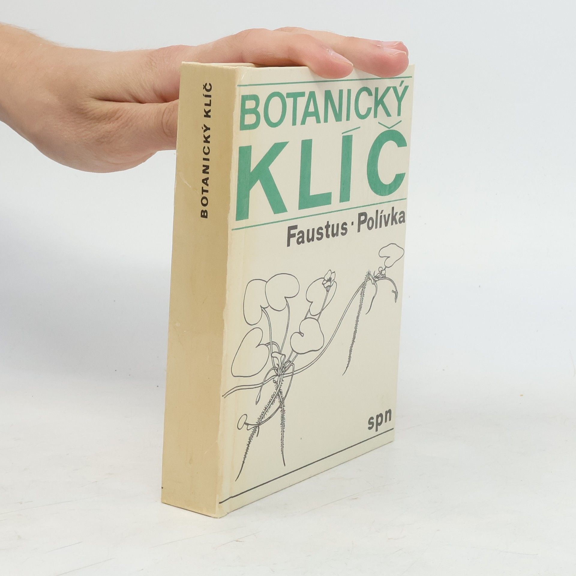 Luděk Faustus Botanický klíč