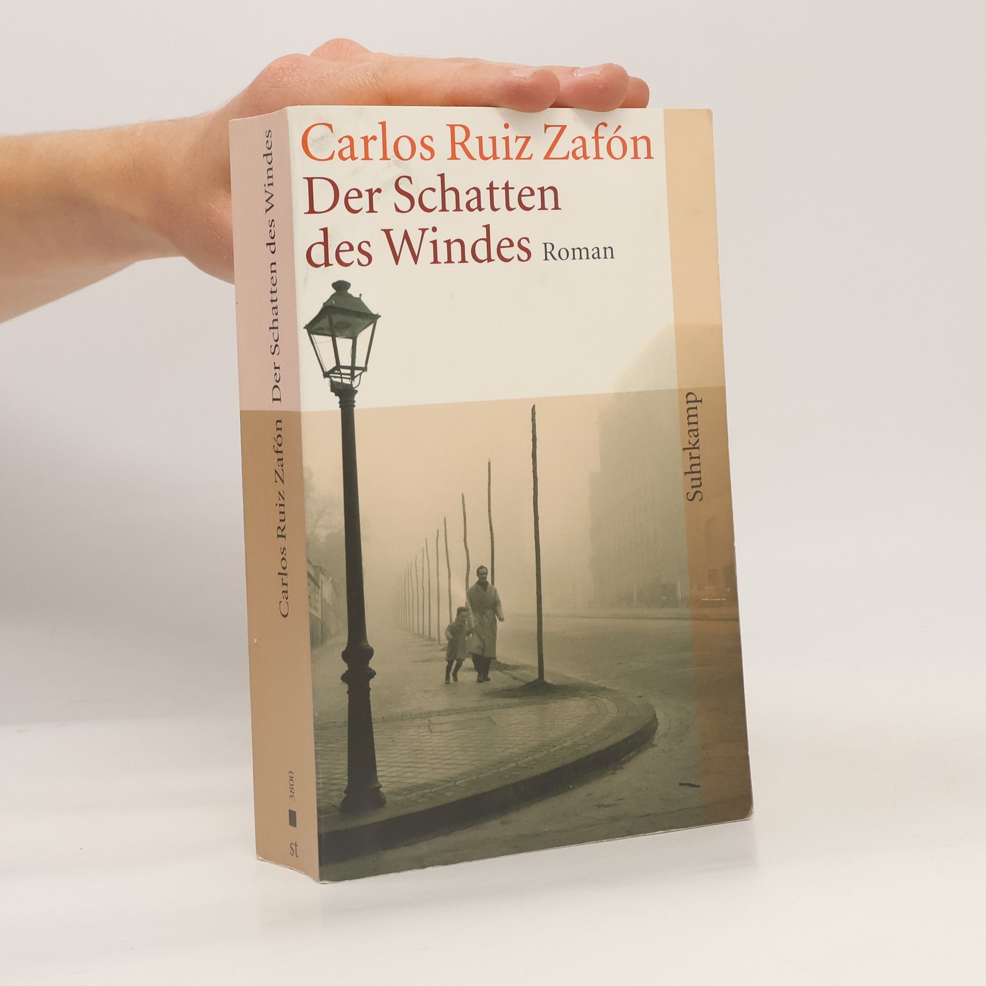 Der Schatten des Windes