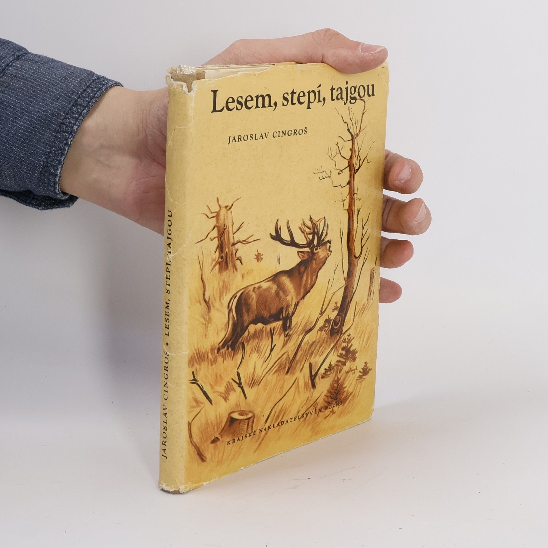 Lesem, stepí, tajgou