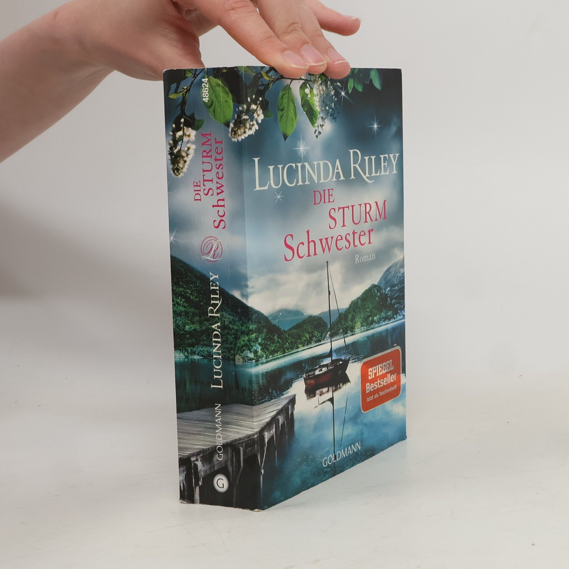 Lucinda Riley Die Sturmschwester