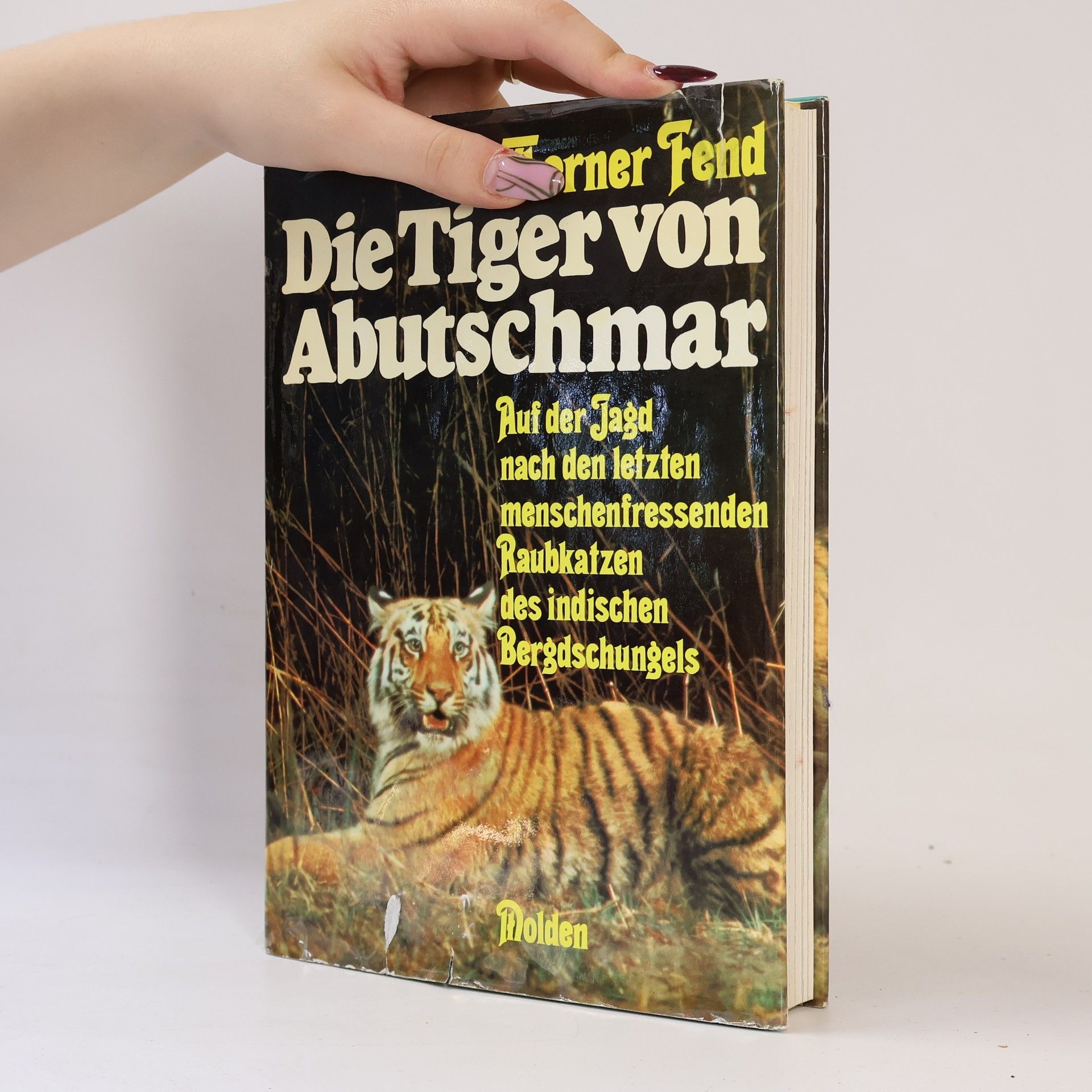 Werner Fend Die Tiger von Abutschmar