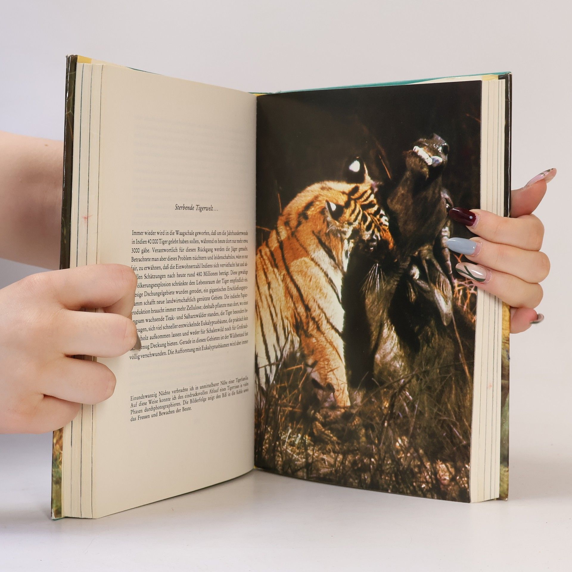 Werner Fend Die Tiger von Abutschmar