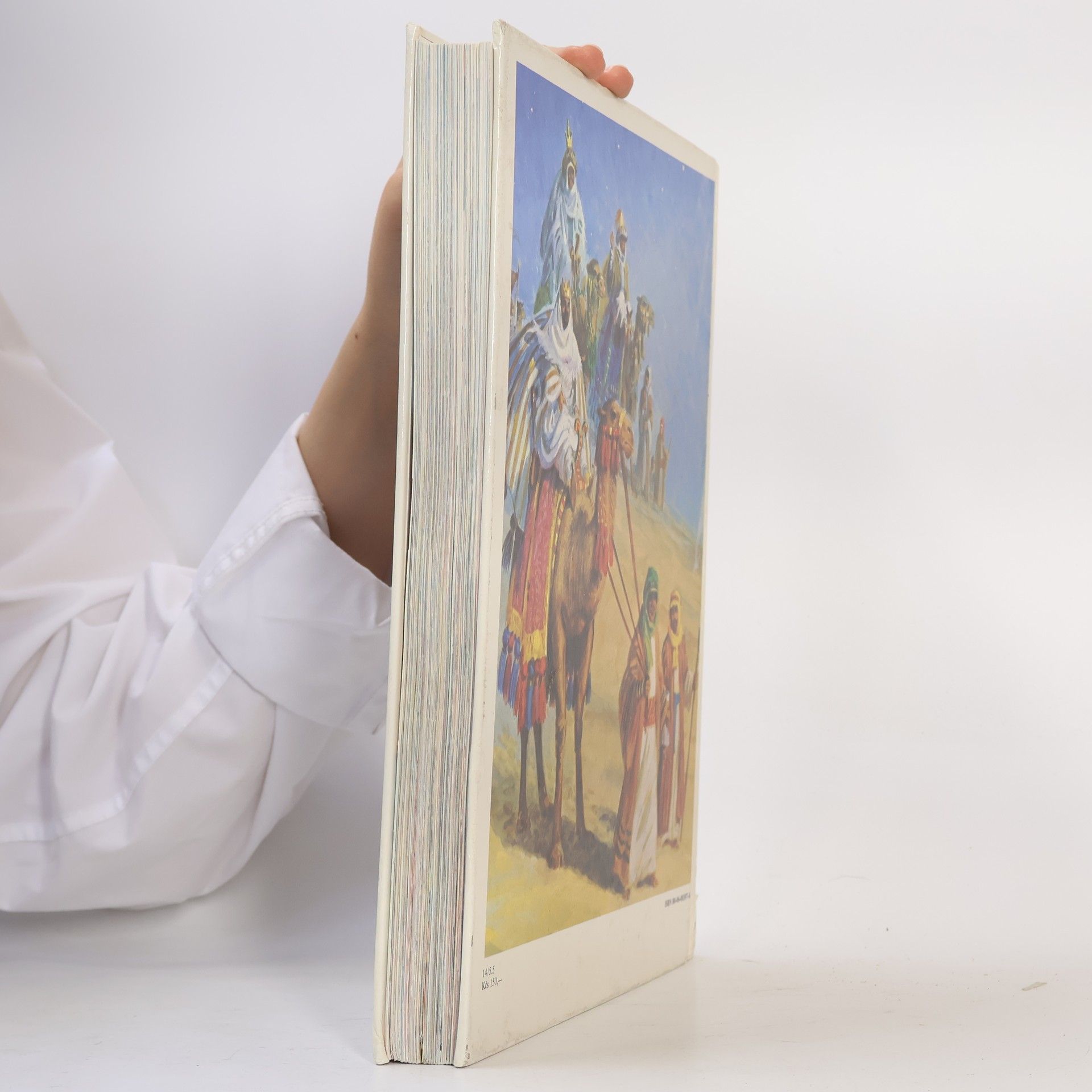 Bridget Hadaway Biblia pre deti