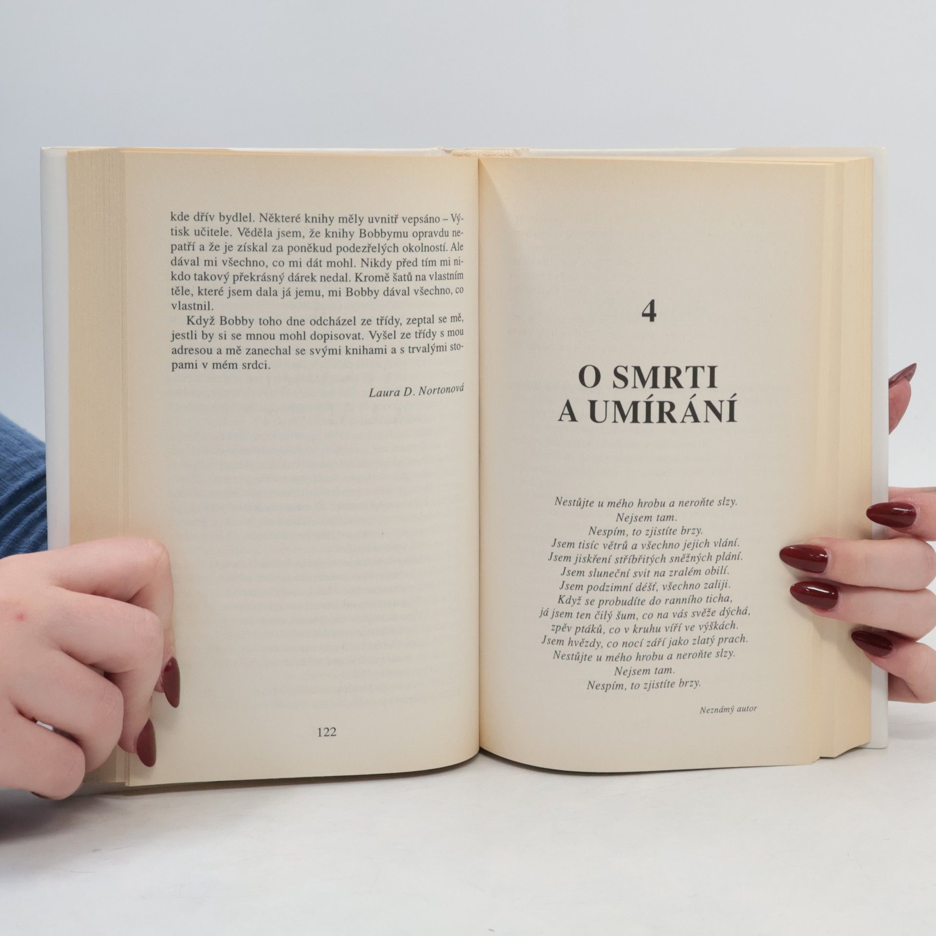 Jack Canfield Slepičí polévka pro duši 3