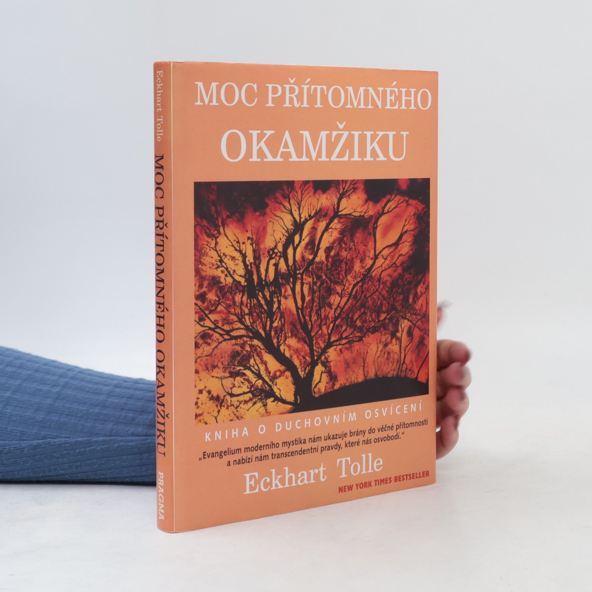 Eckhart Tolle Moc přítomného okamžiku
