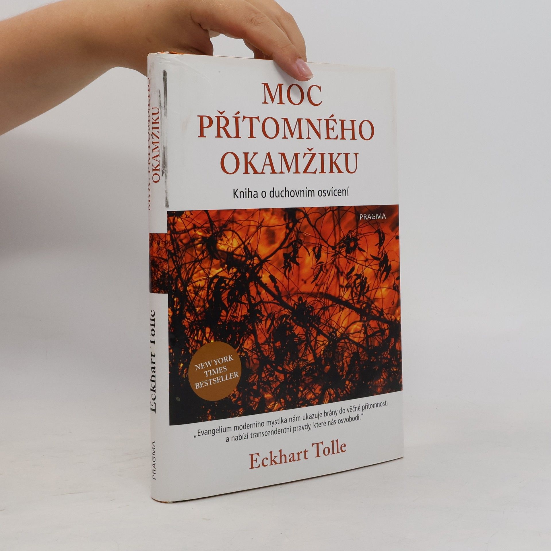 Eckhart Tolle Moc přítomného okamžiku
