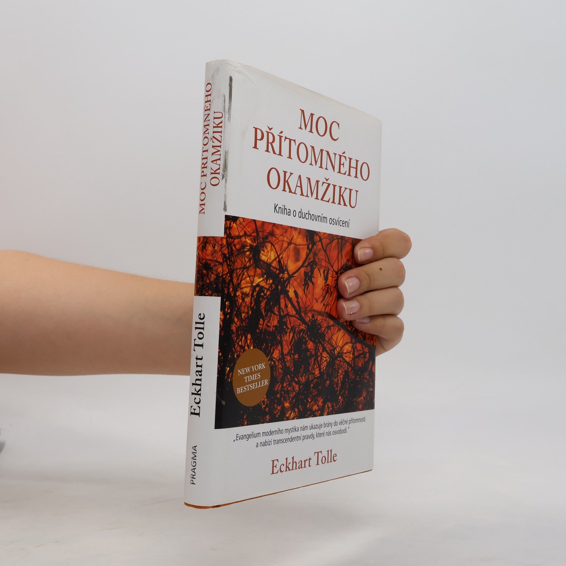 Eckhart Tolle Moc přítomného okamžiku