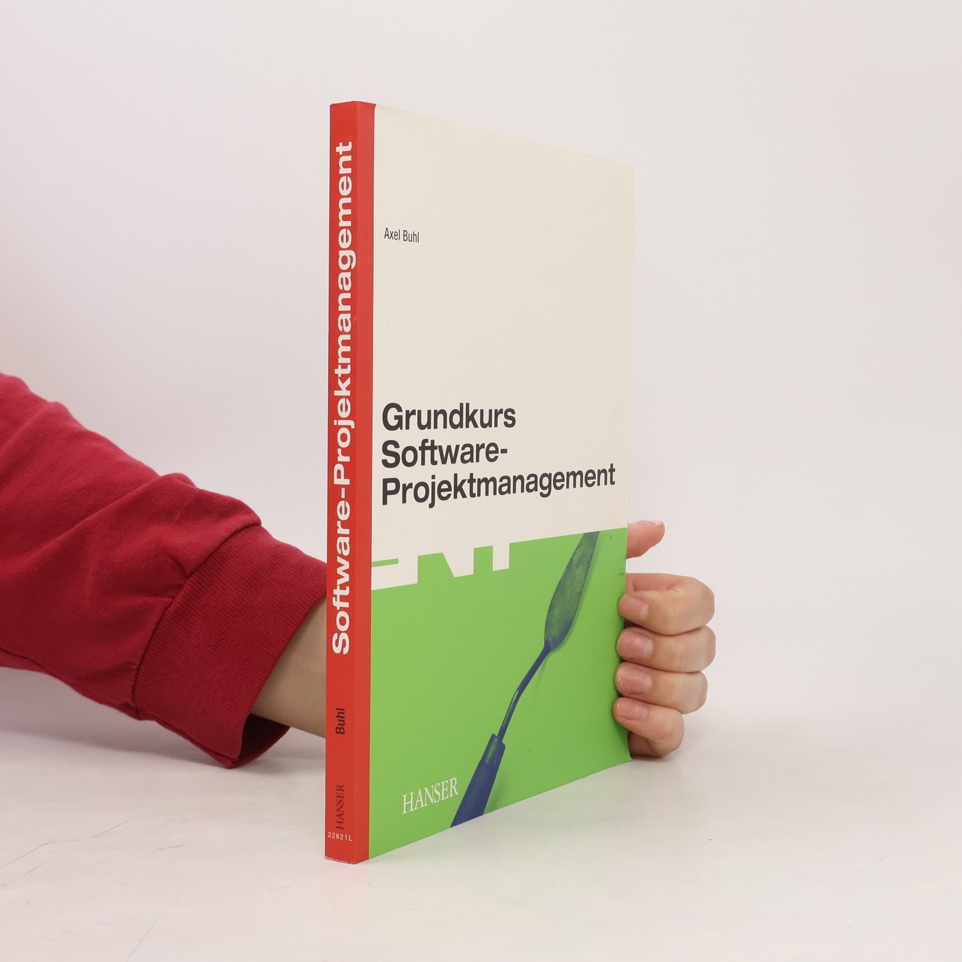 Axel Buhl Grundkurs Software-Projektmanagement