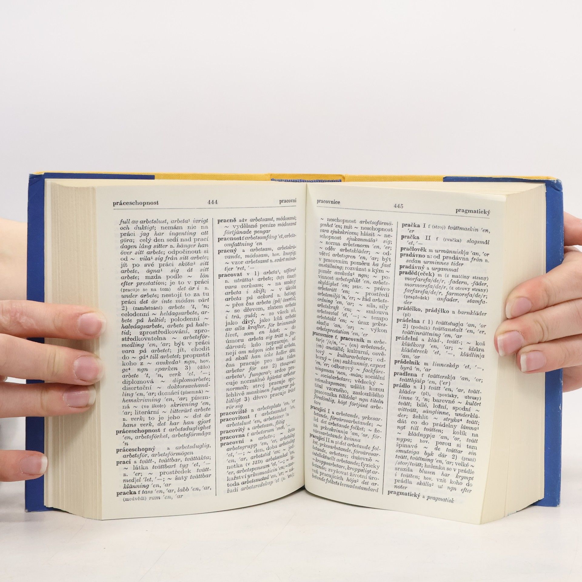 Autorenkollektiv Česko-švédský slovník
